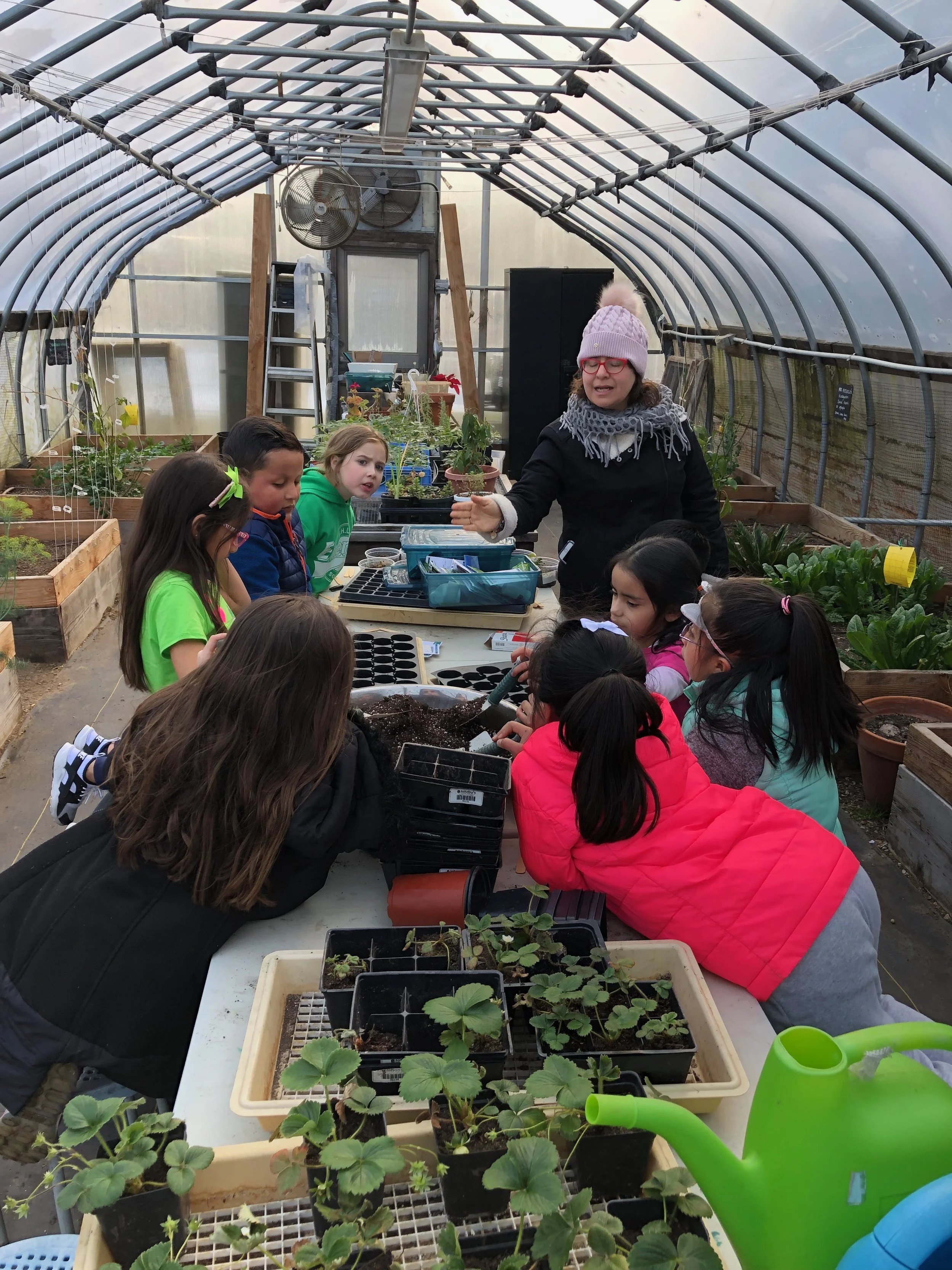 First installment of Hailey's Healthy Hints! 