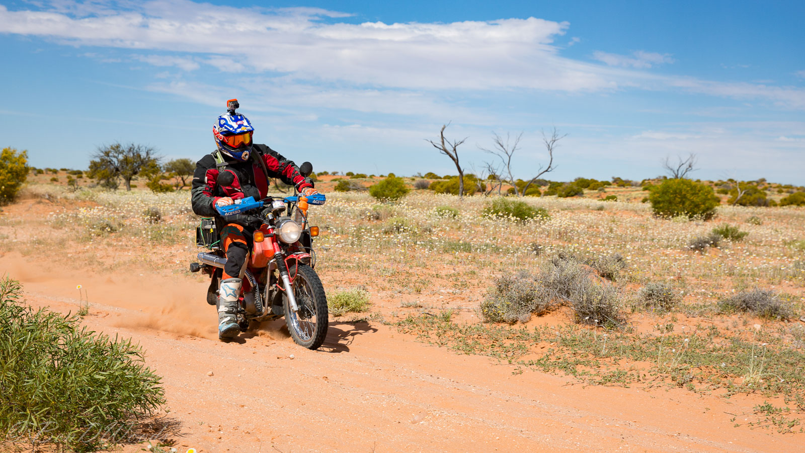 Postie 2016-79.jpg