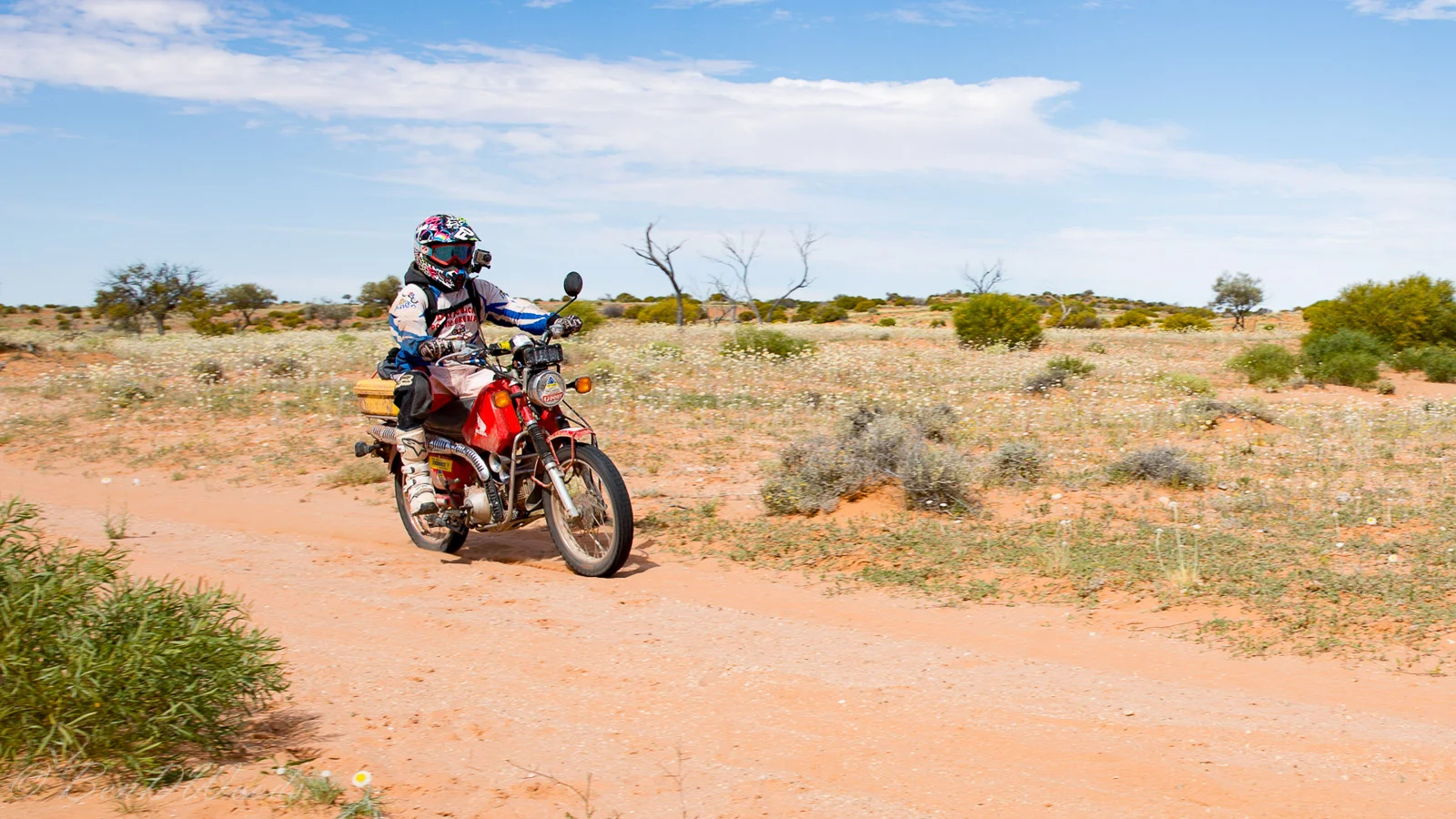 Postie 2016-48.jpg