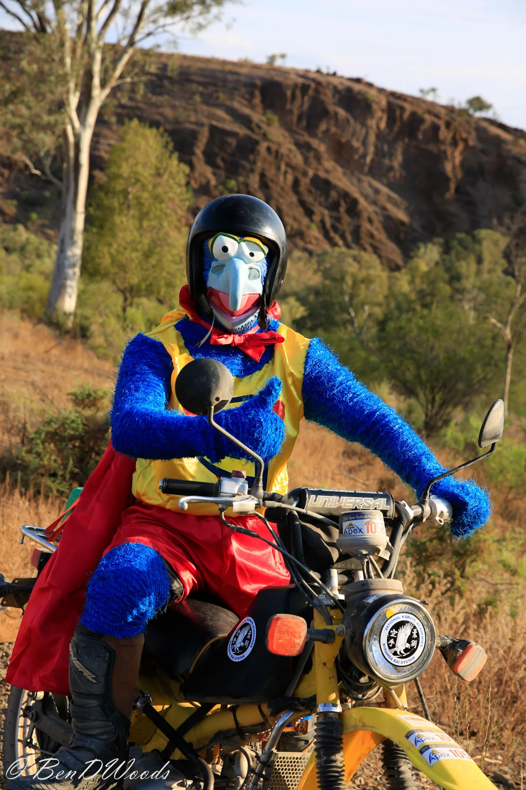 Postie-25.jpg