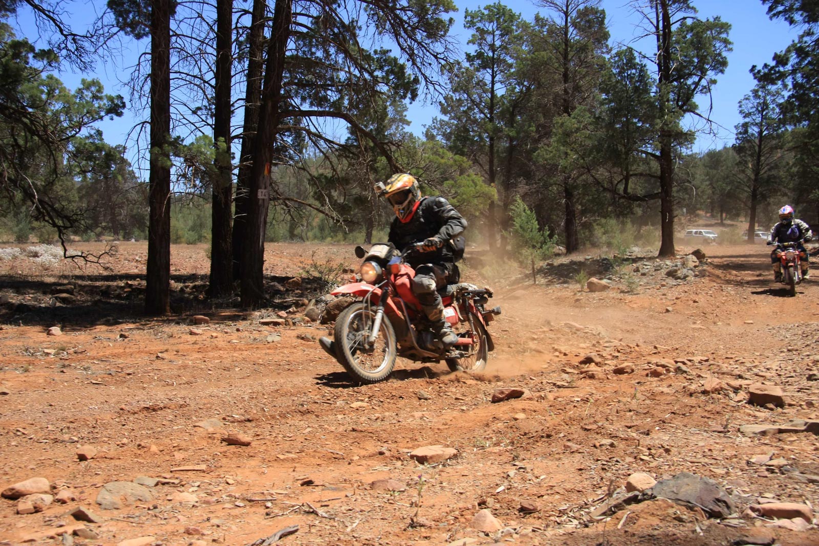 Goldfields37.jpg