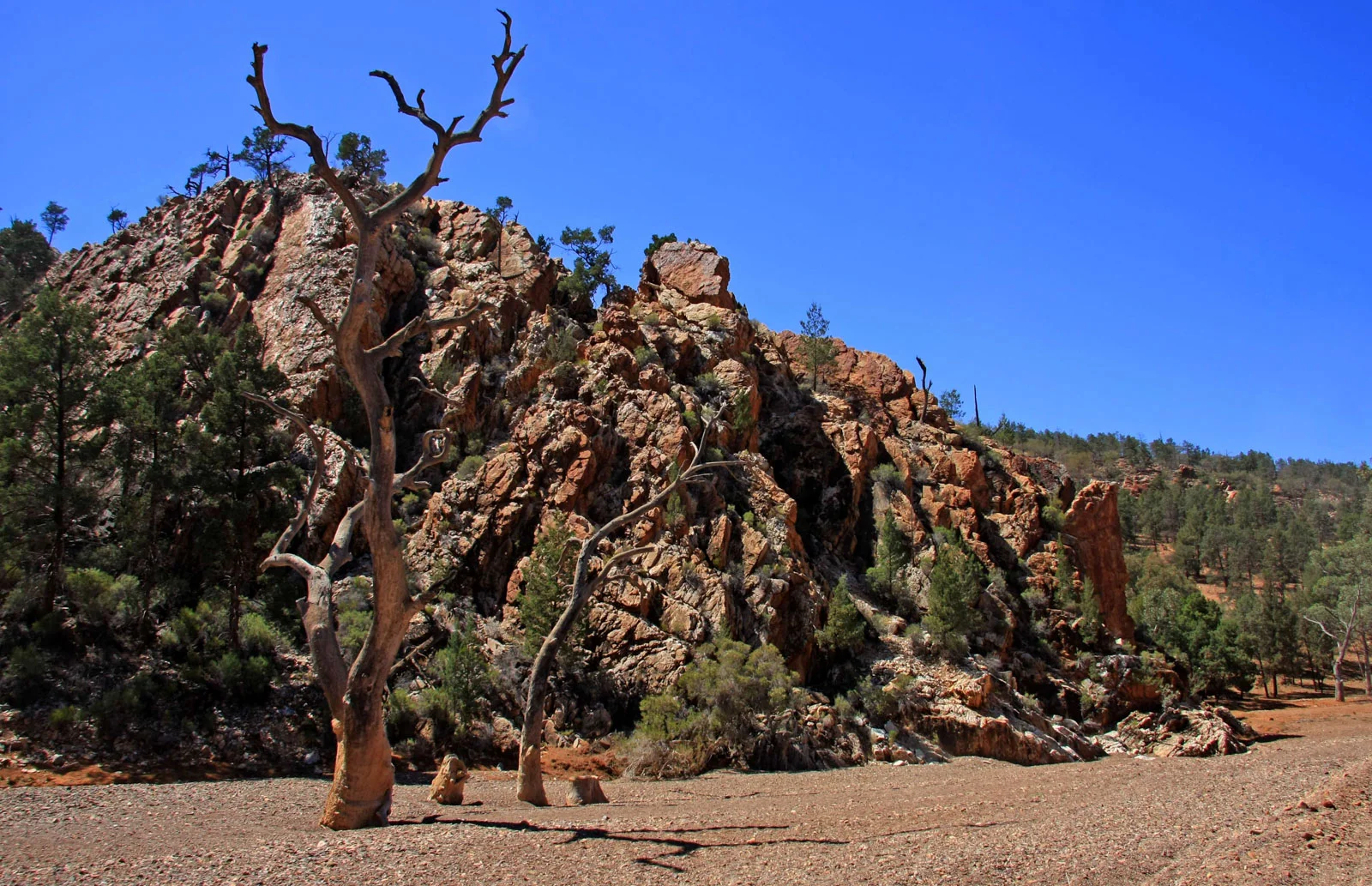 Creek bed.jpg