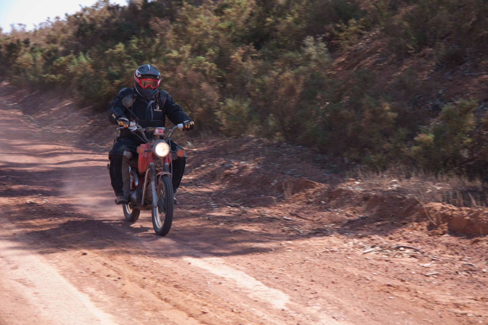 Z141012_0358.jpg