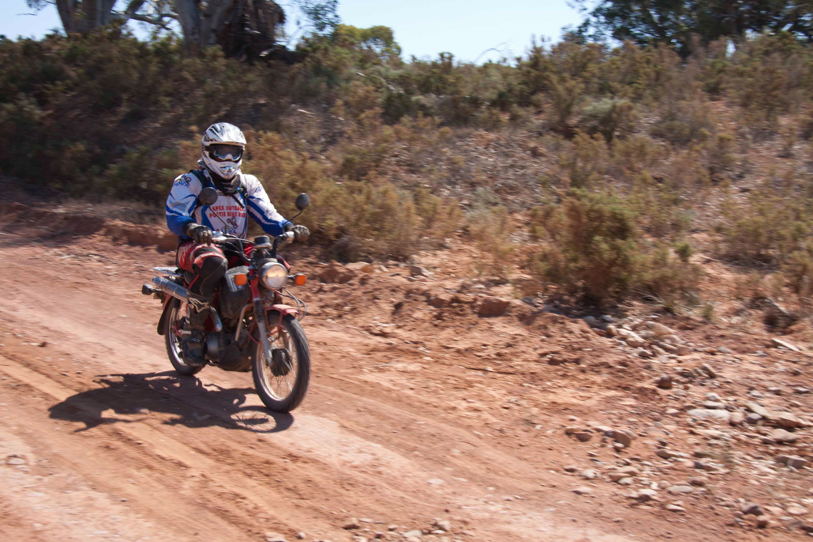 Z141012_0279.jpg