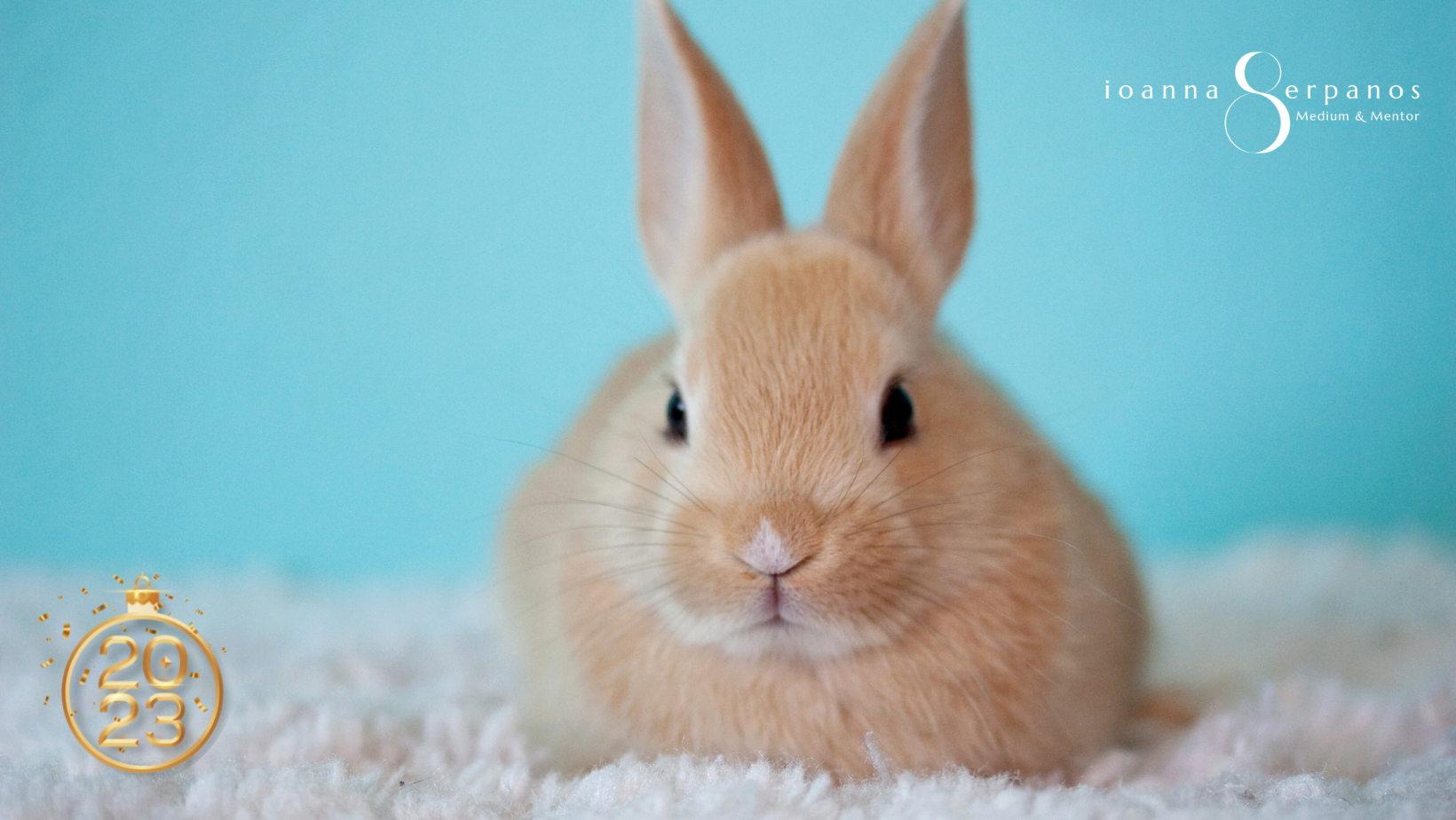 2023 Year of Water Rabbit