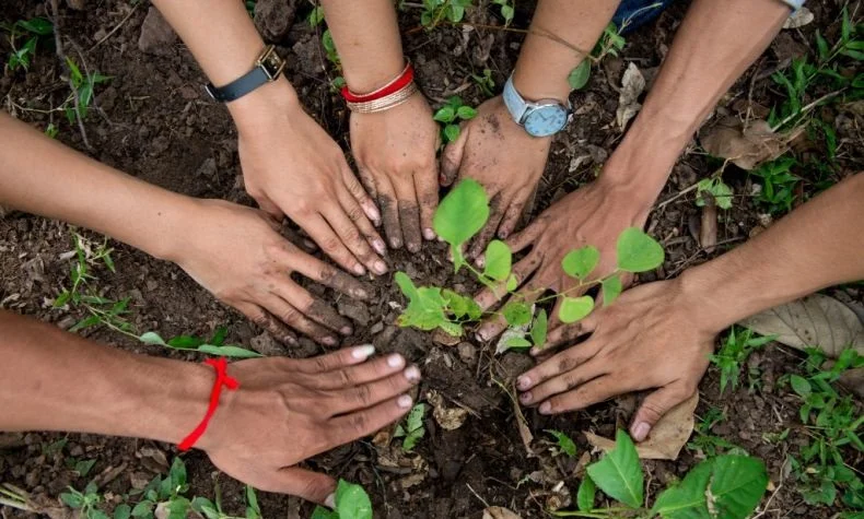 Tree-Planting-Cambodia-2014-Luc-Forsyth-50-1024x683-790x527 v2.jpg