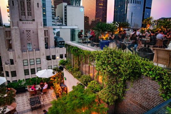 Perch Rooftop Bar 4.png