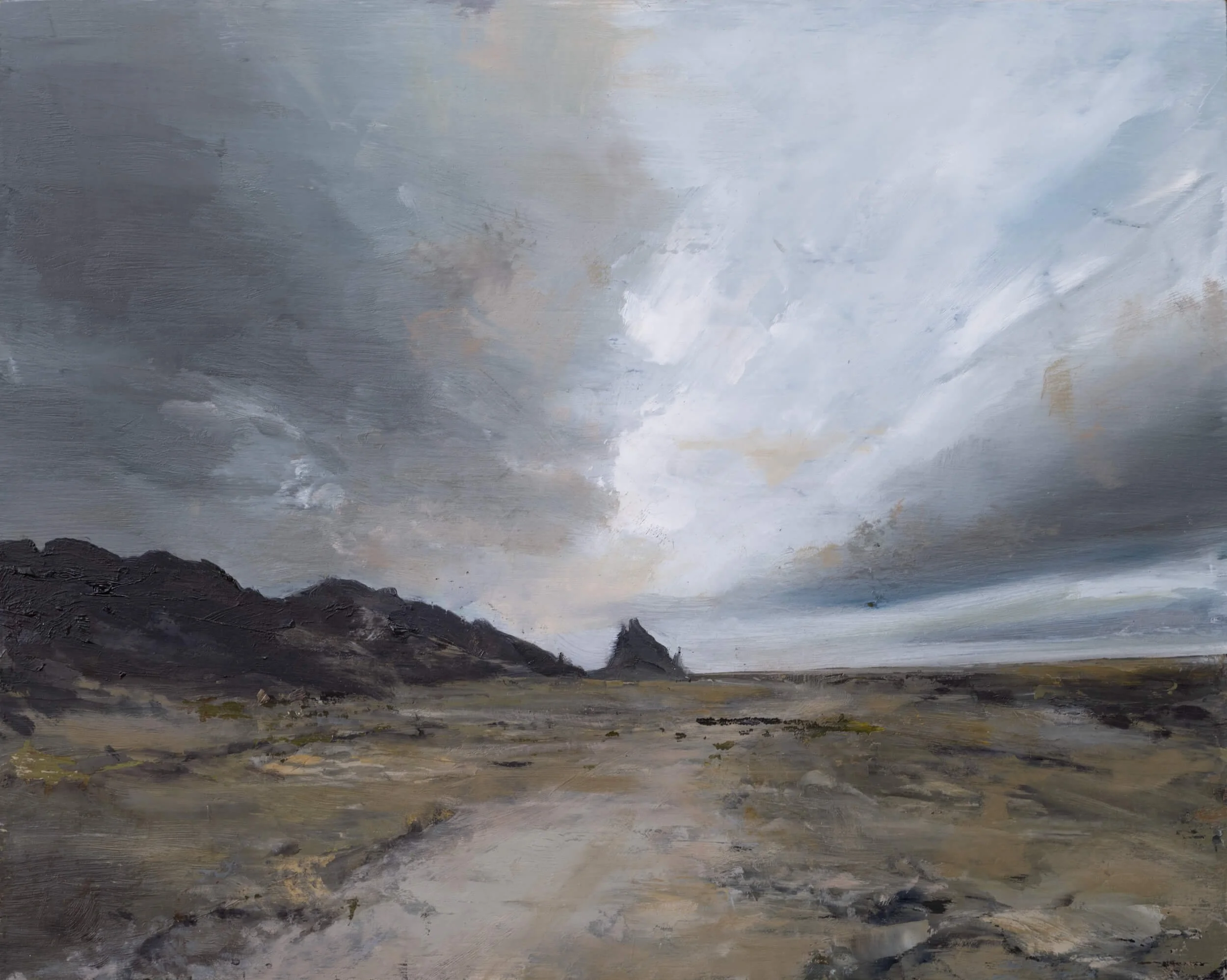Inclusions Gallery