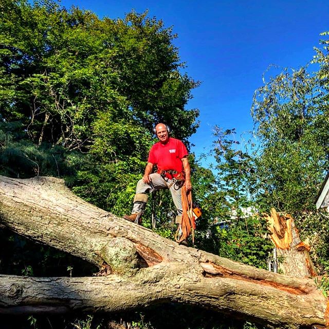 It's Hurricane Season! 
Summer storms bring down some of the biggest trees on Long Island. 
Joe's Complete Tree Service is here to help you clear away the damage and make your property safe and beautiful again! 
Better yet.... Prune before the storm,