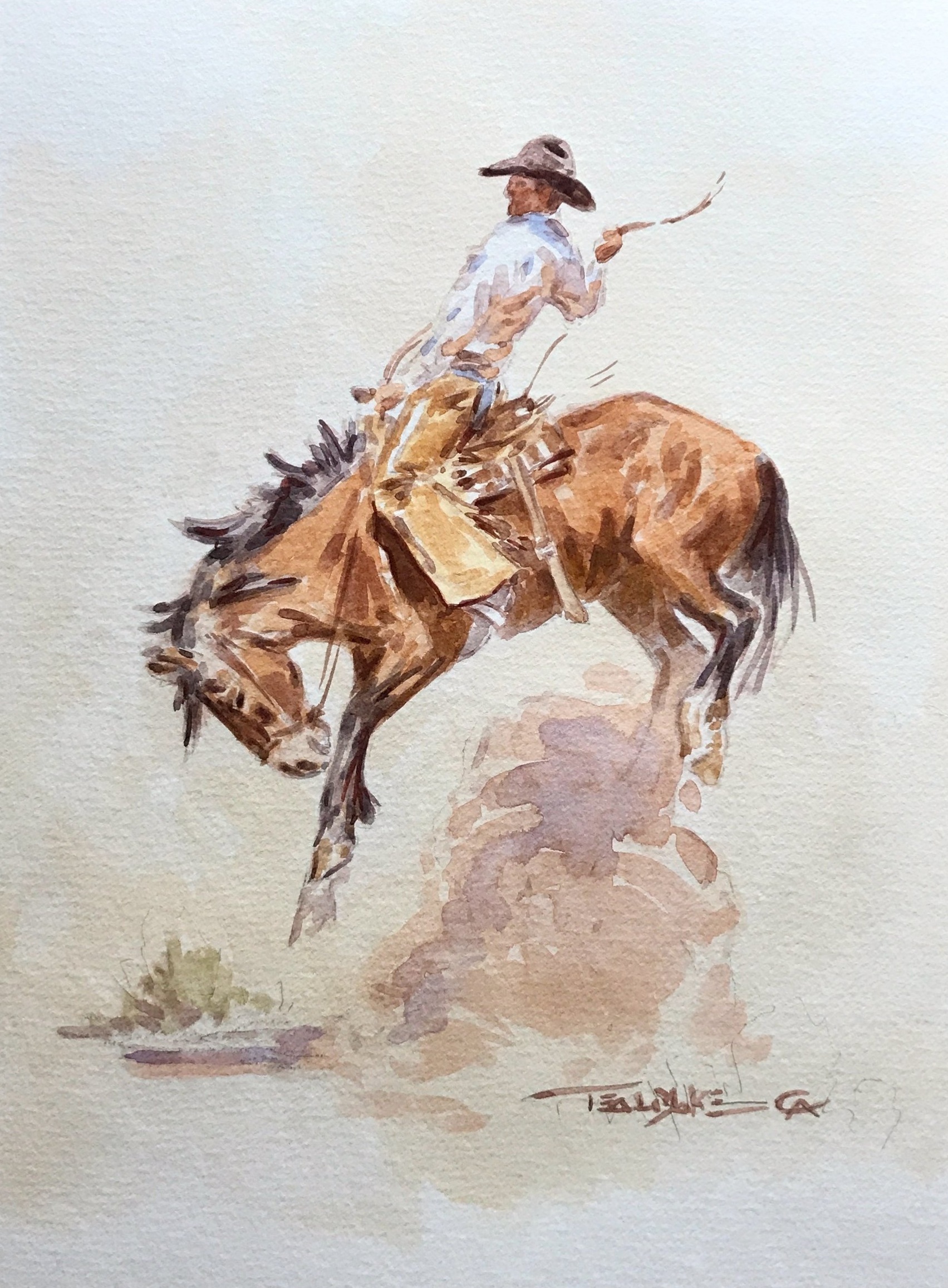 Bucking Horses Teal Blake