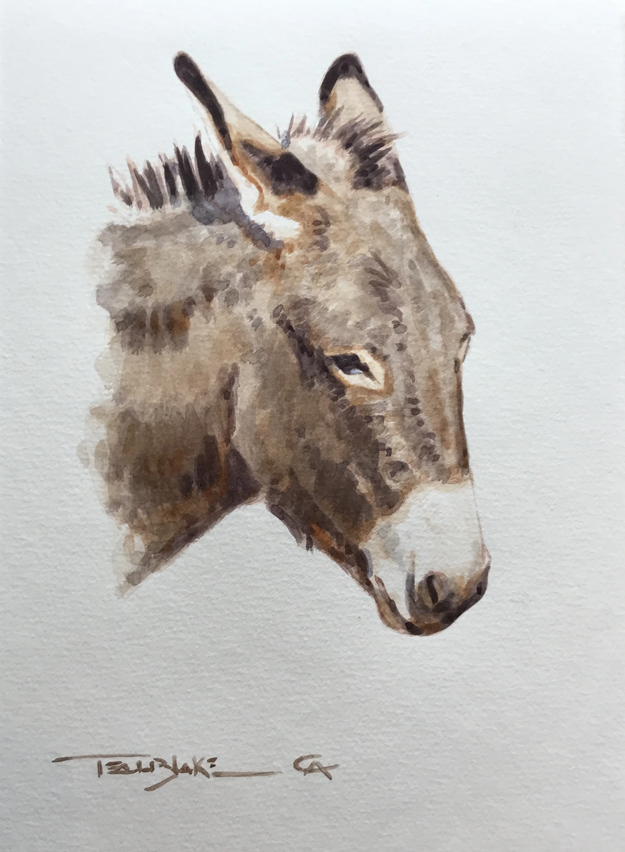 teal_blake_burro.JPG