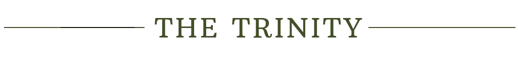 Trinity.png