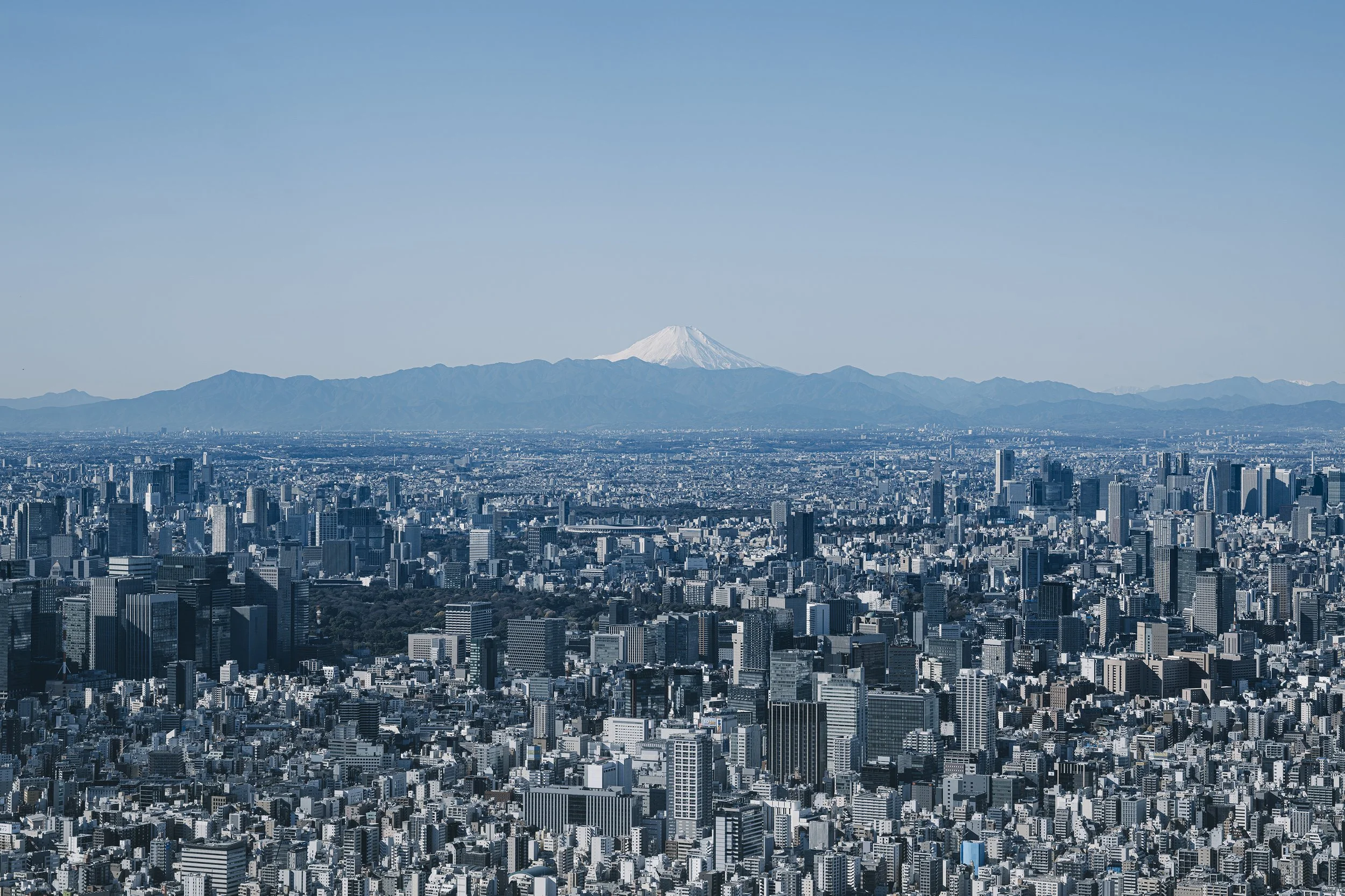 _DSF0696-已增強-雜訊減少 拷貝.jpg