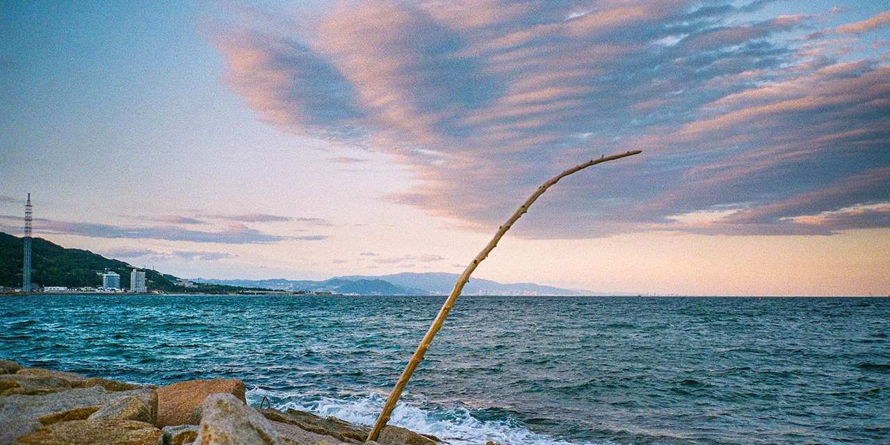 成長