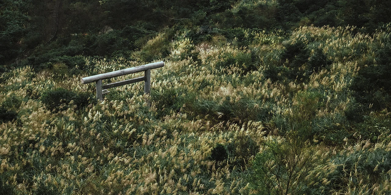 孤山靜
