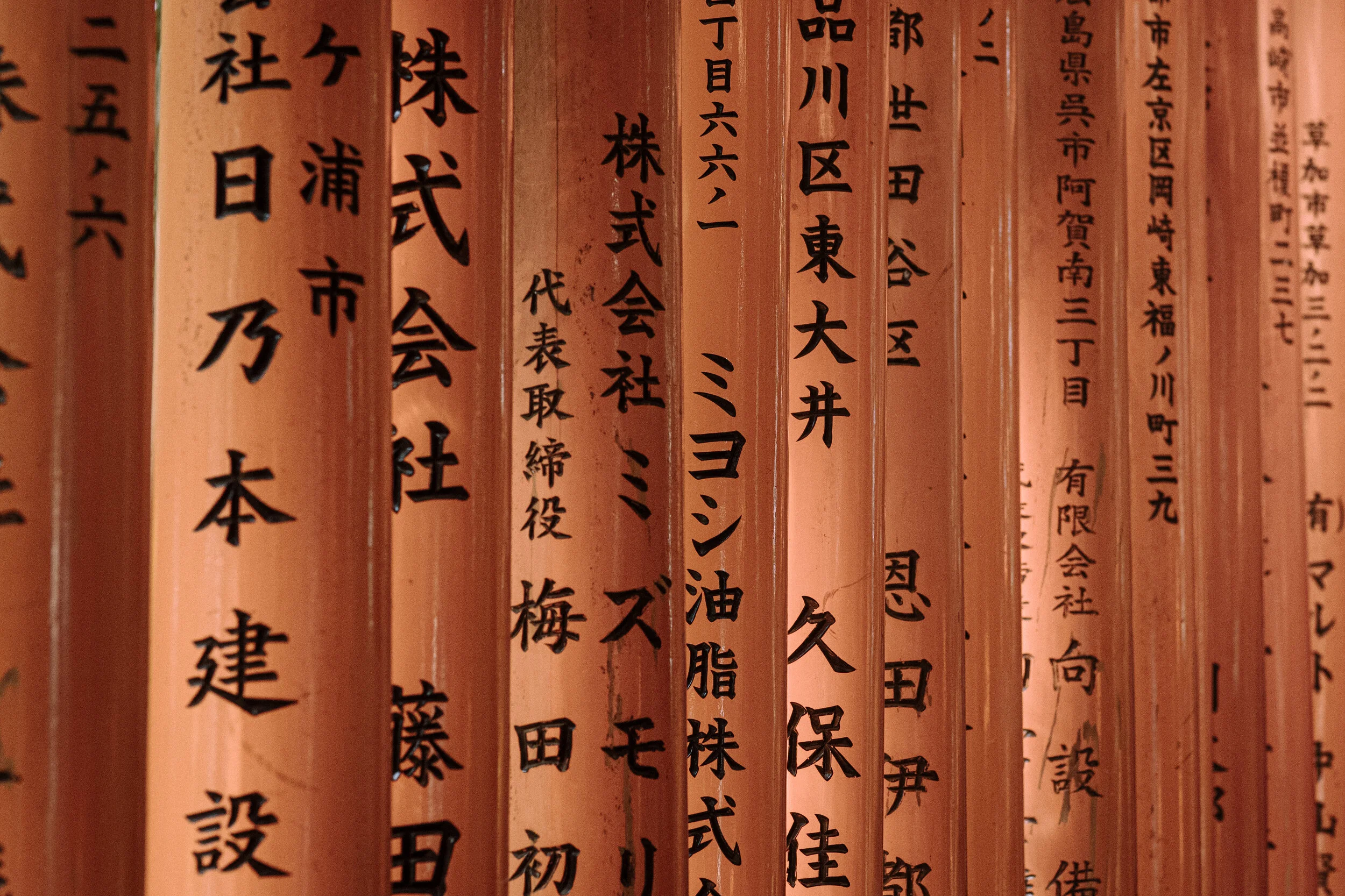 練習