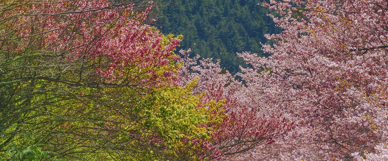 答えてよ