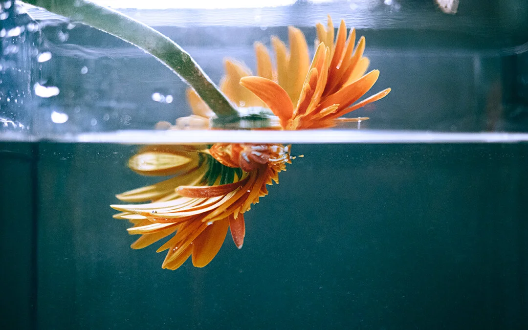 物小