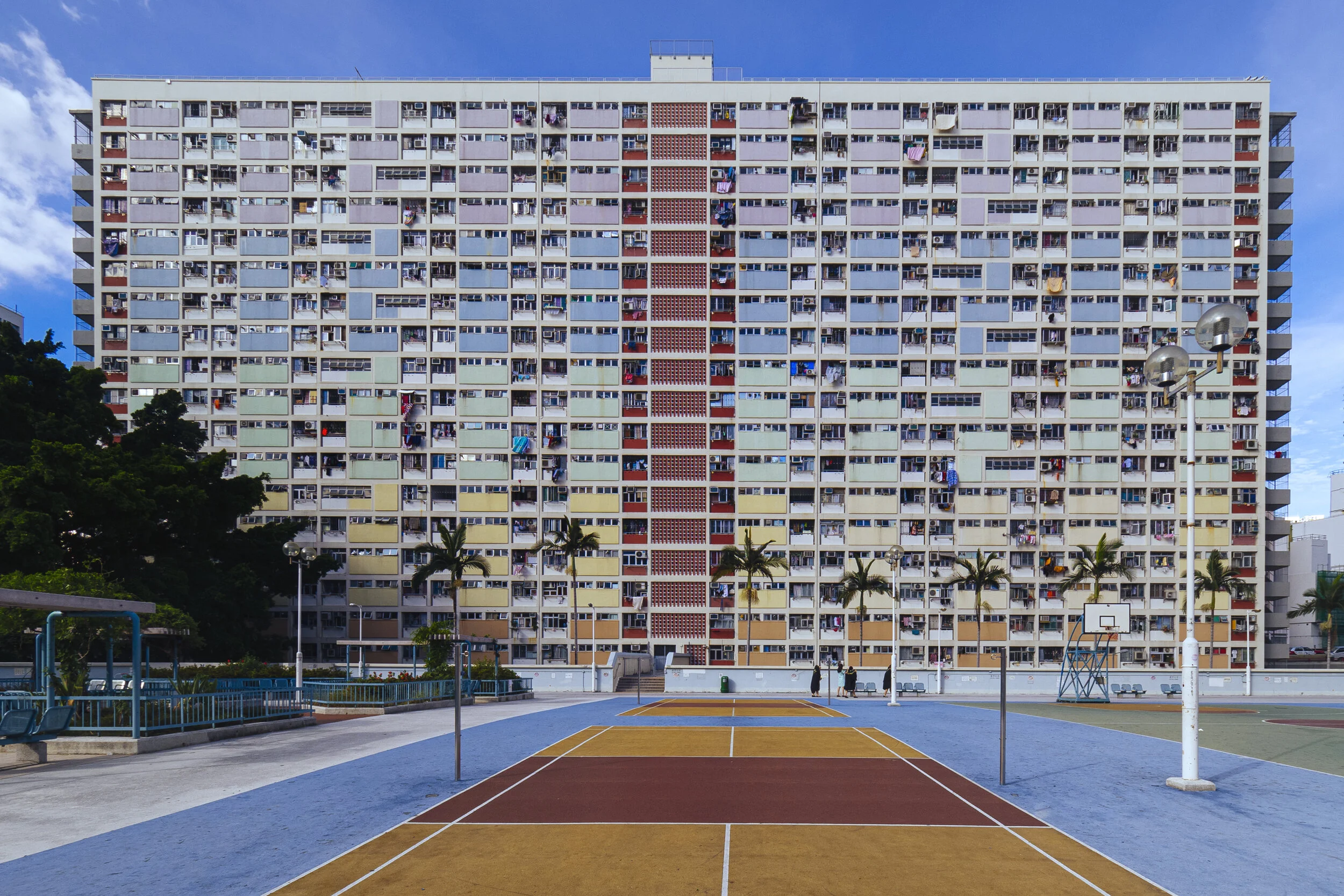 _6290152-已增強 拷貝.jpg