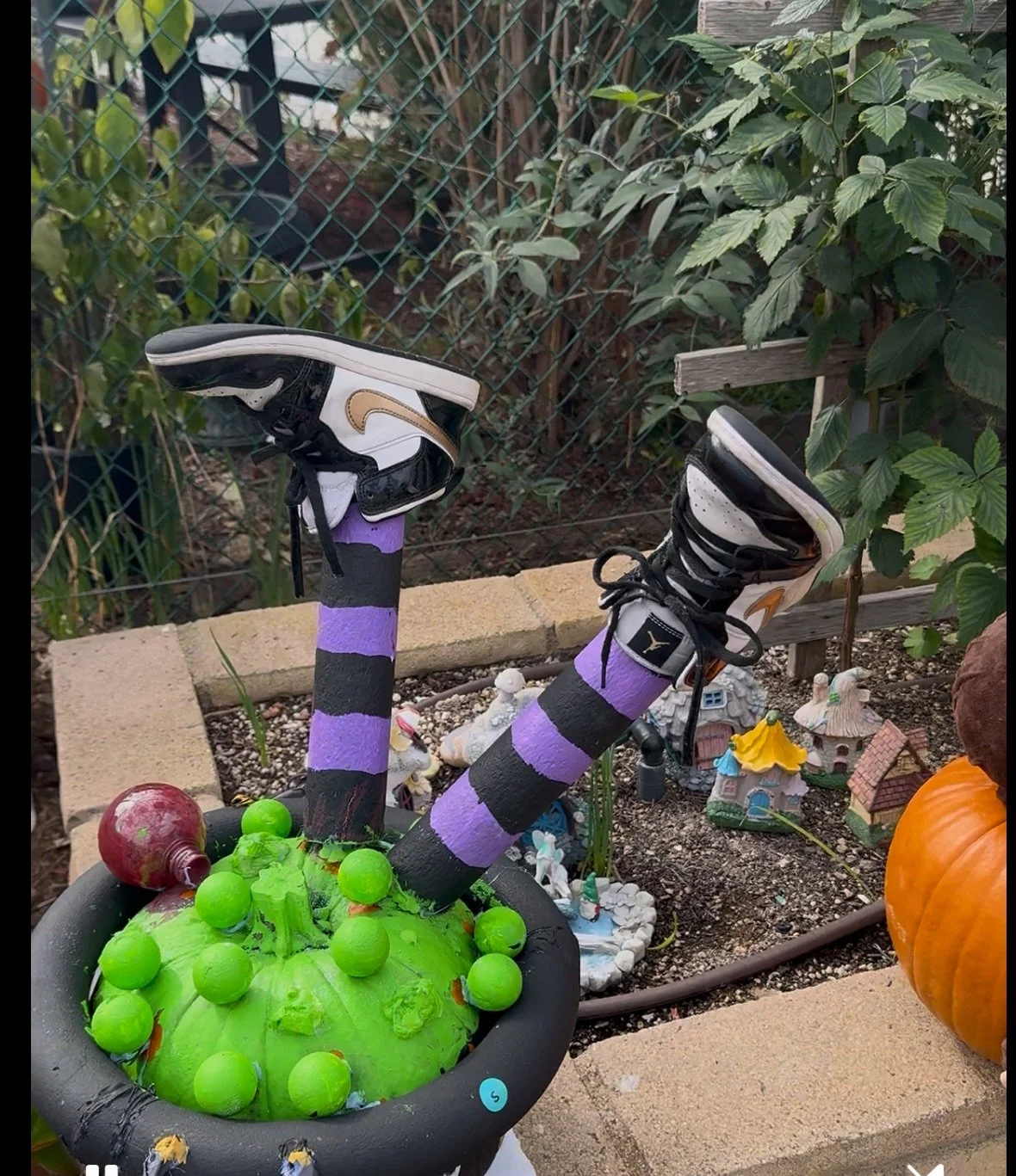 View recent photos 2.jpeg