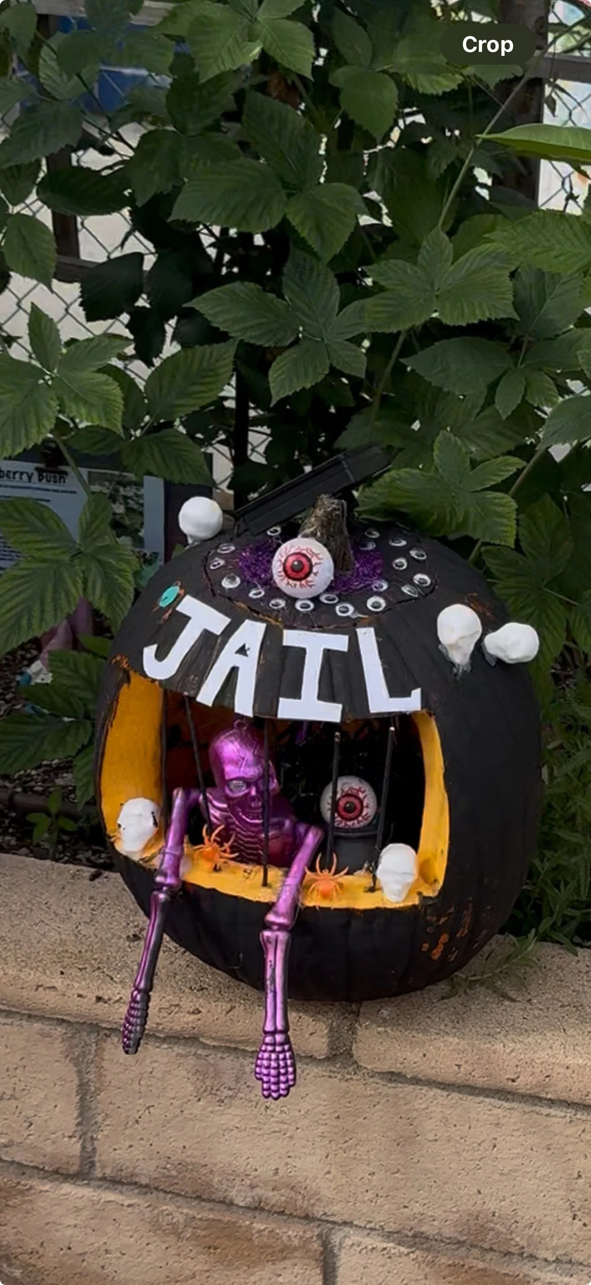 View recent photos.jpeg