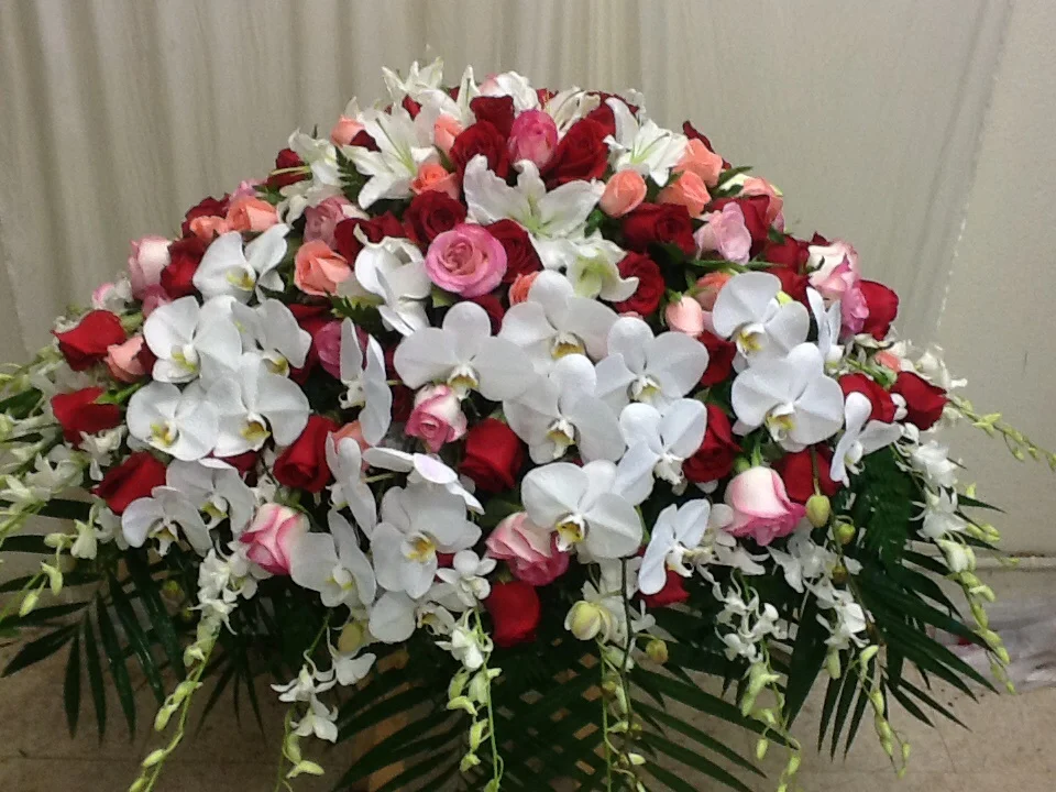 C14 - $675.jpg