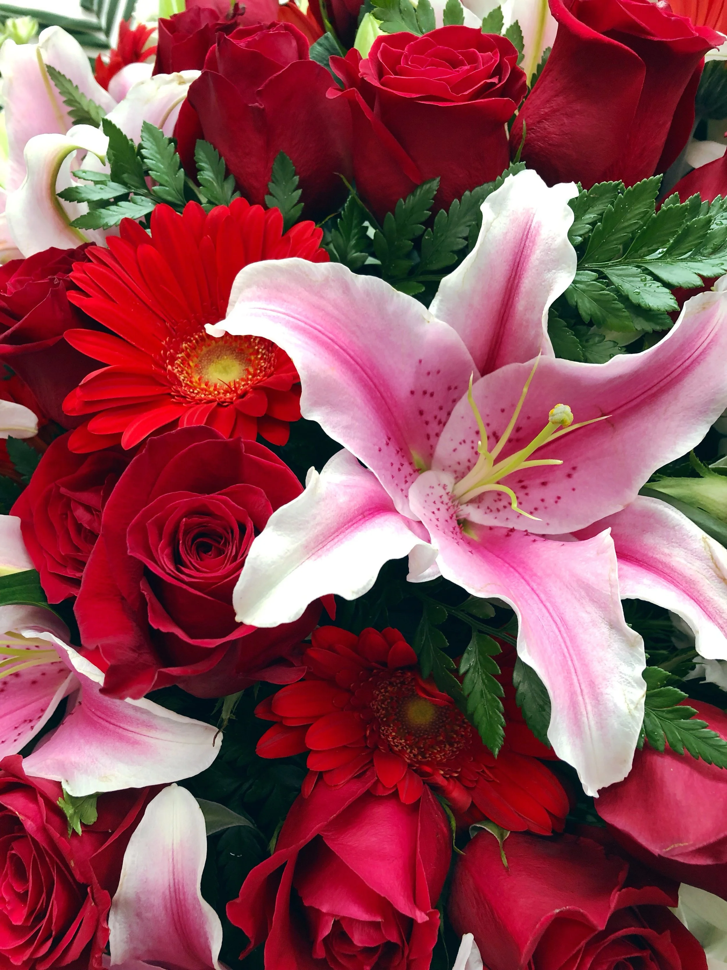 5D5EA633-BC23-4536-A62B-DCCC731F7545