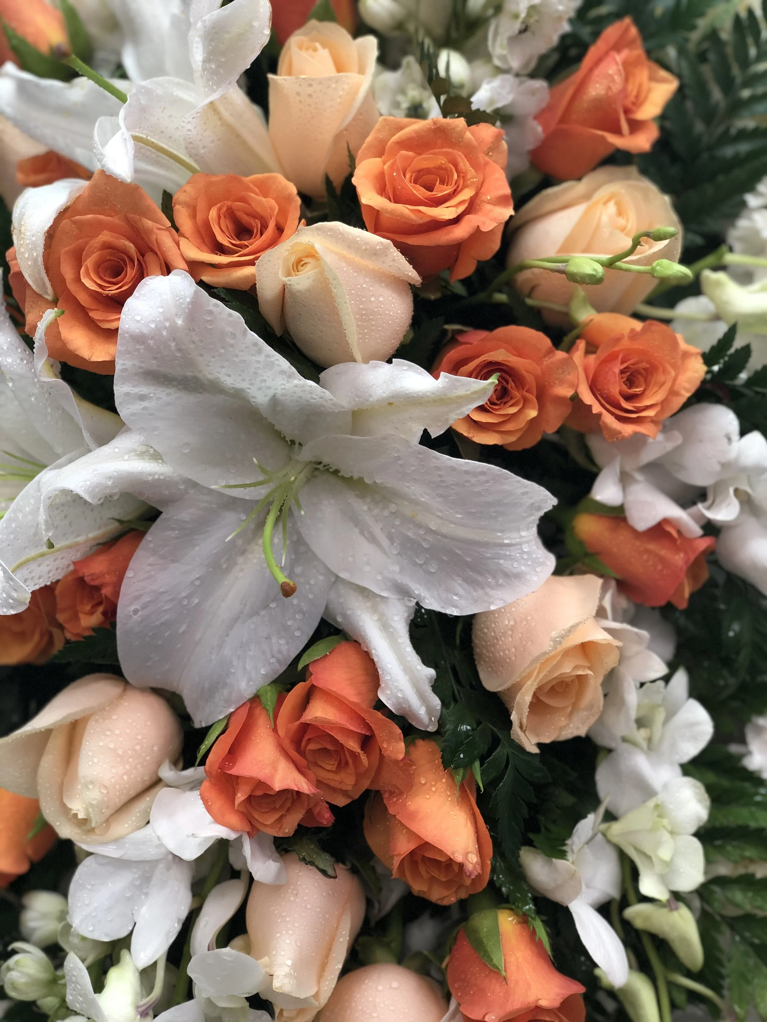 3A3B632E-E9C1-497C-A52A-D8F59049FF5C