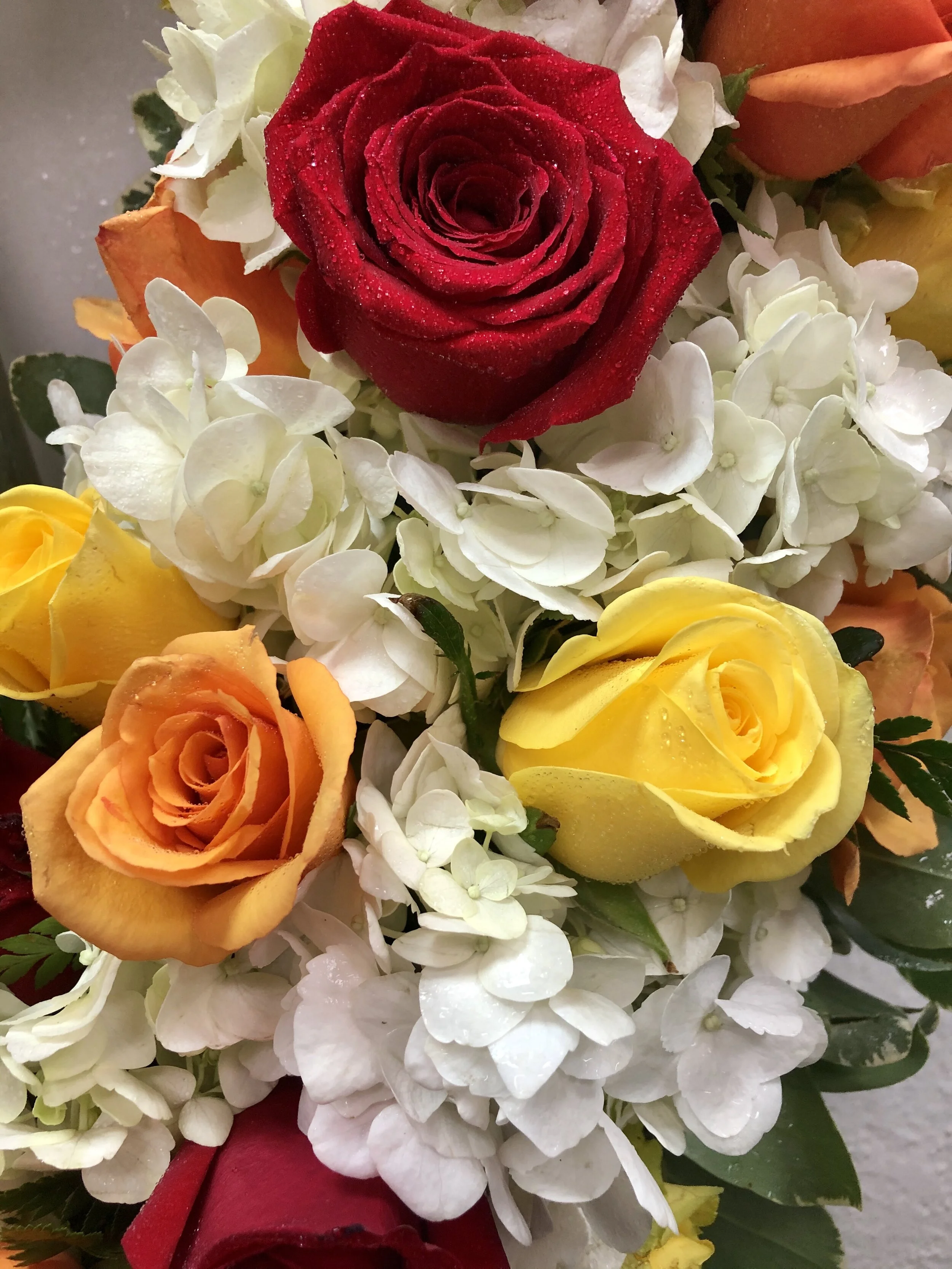 DFAA94E4-2A92-4097-9113-FA4EC74E130D