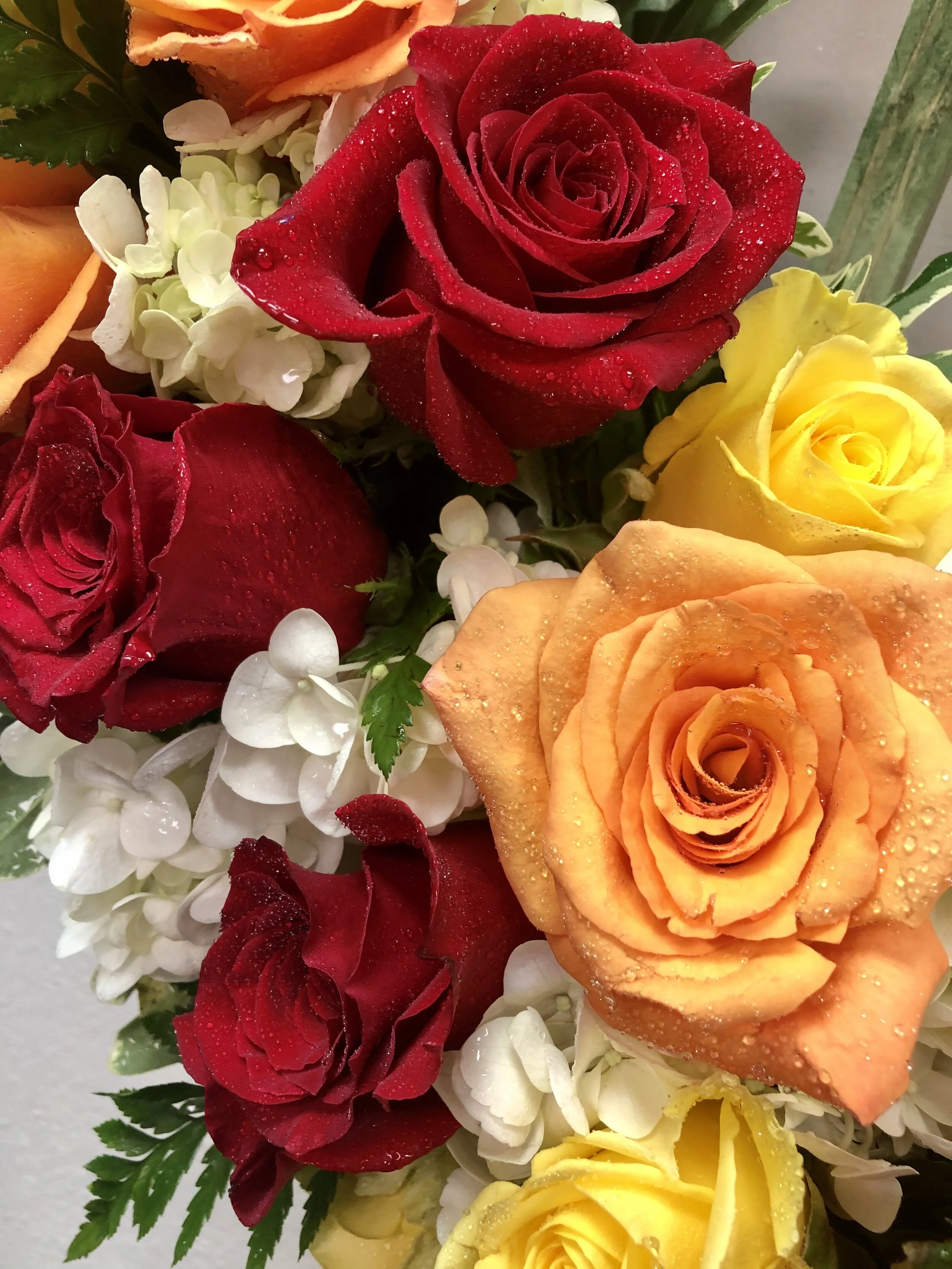 D8BD3135-A50E-4AA7-84C0-070E032E0DBA