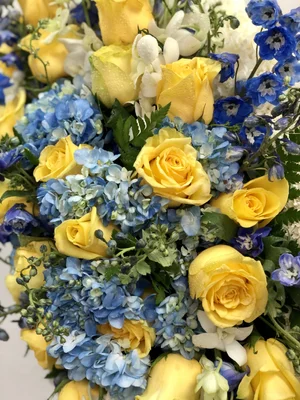 FLOWERS 四季 Amazon.co.jp: FLOWERS 四季 - PS4 : Video Games