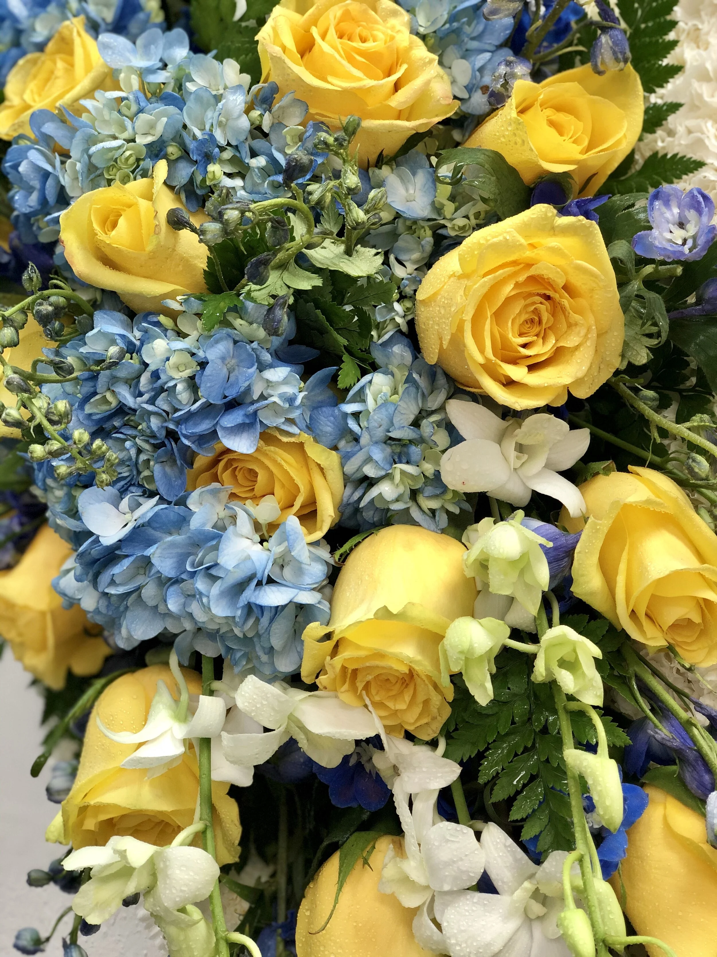 A73DF0E8-B2B0-4838-9AF6-34DD18410E4C