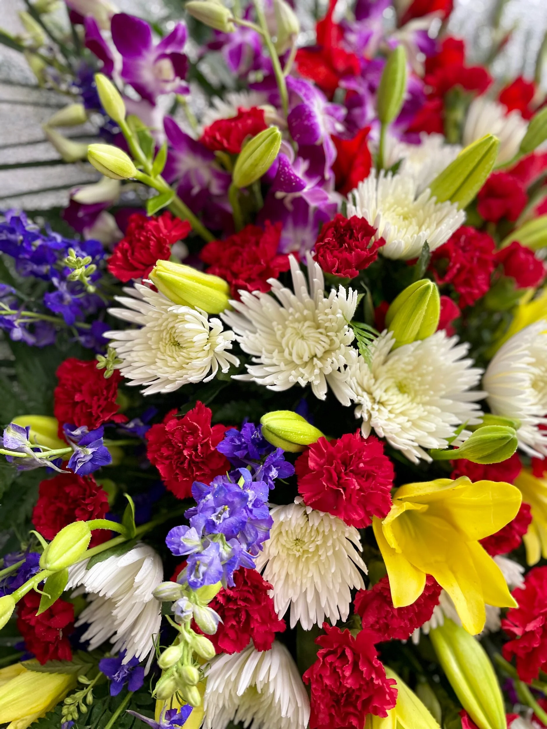 6E0C0480-D530-4A6D-B6F2-556DFFDE8D5B