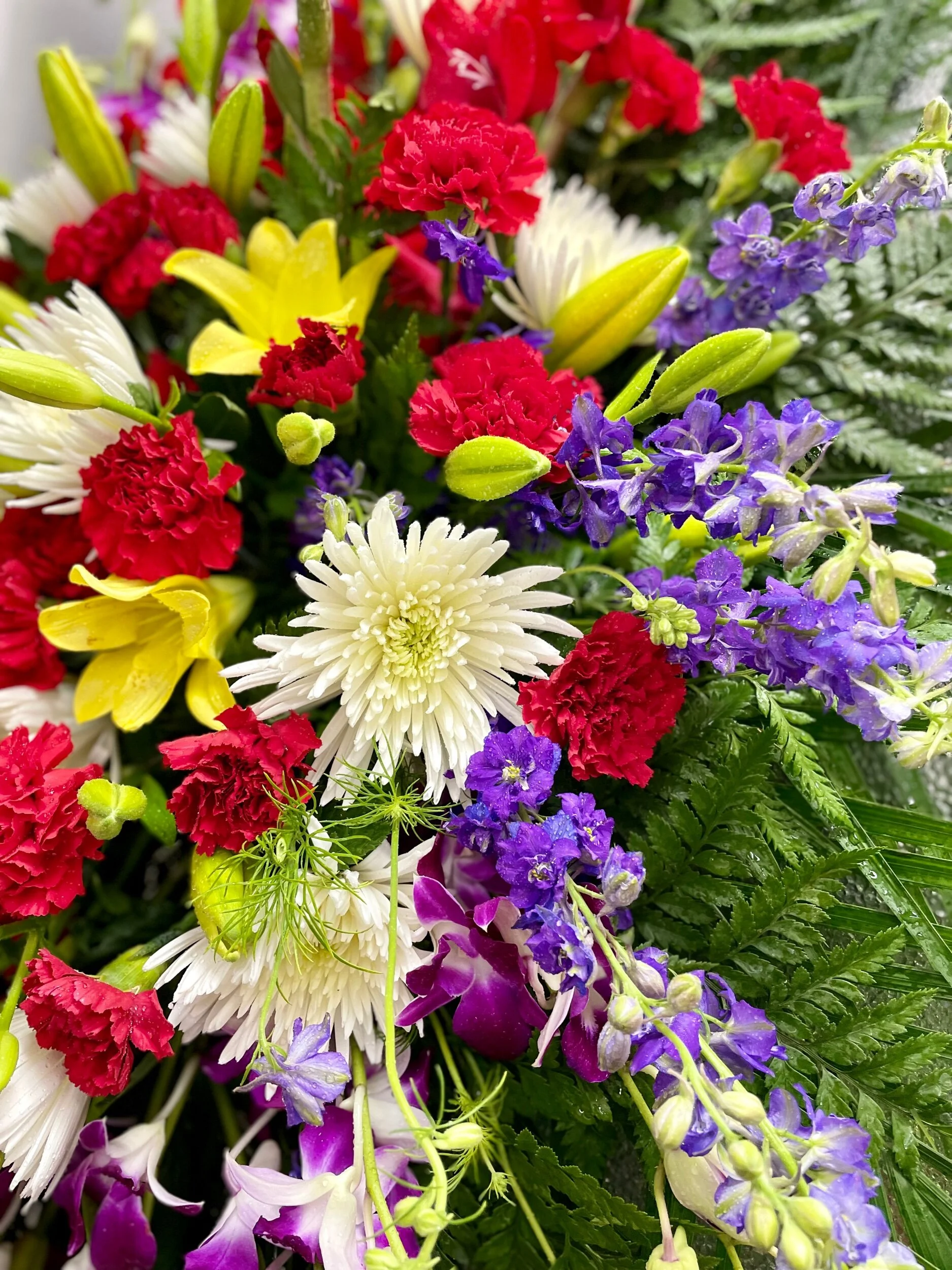 19F72DC1-C231-401A-9C1B-F37A527C27D9