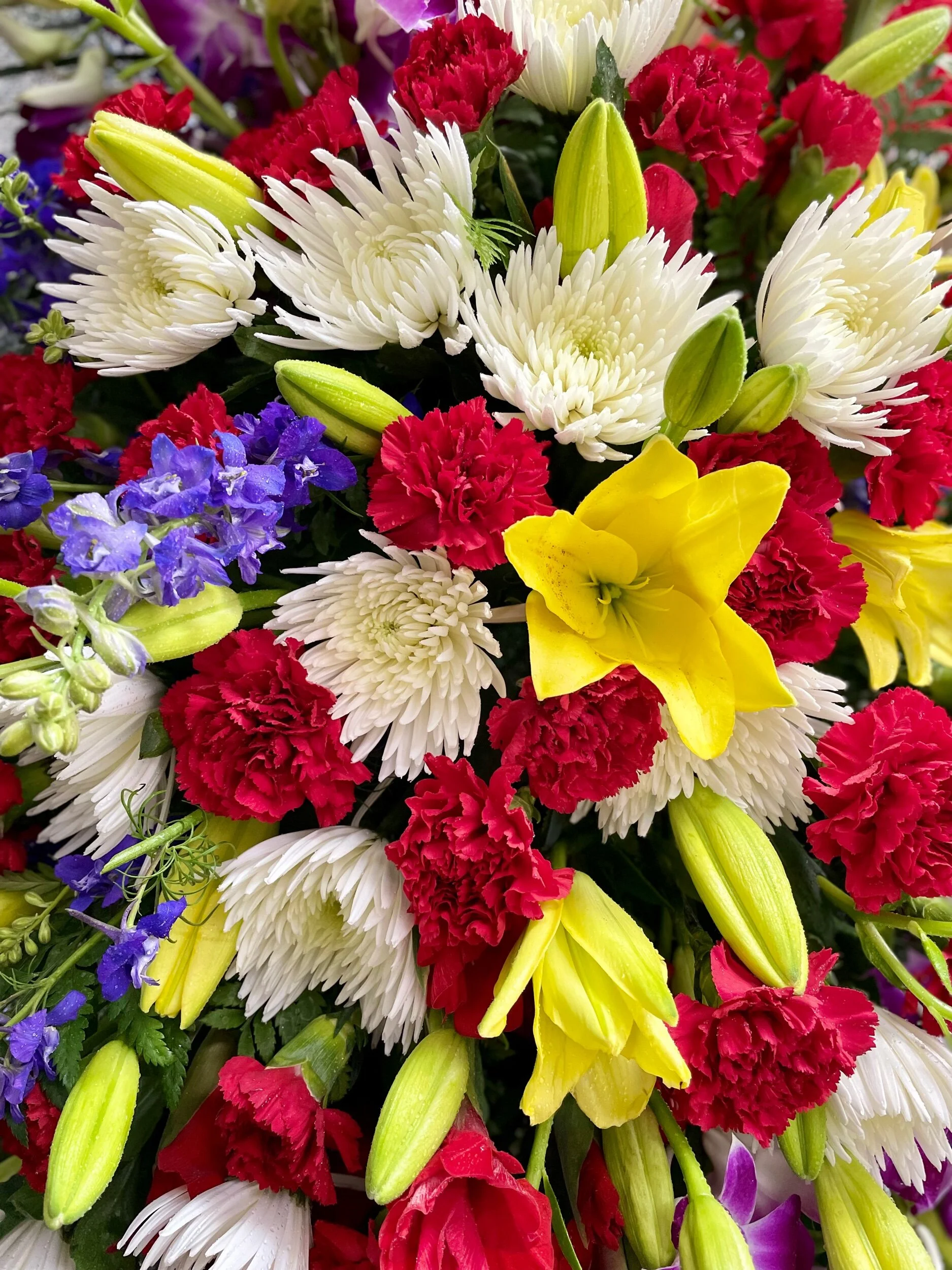 C6D1D7BC-2064-4A16-846F-19DC29B63EDE