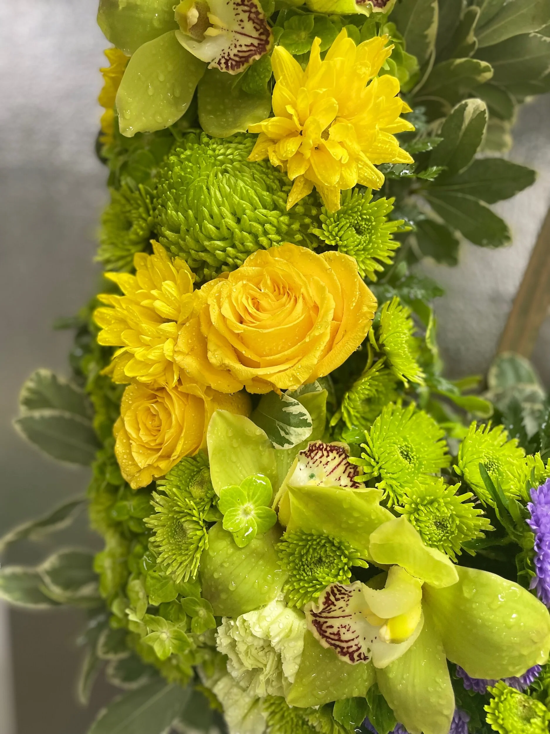 243492B3-1443-4E78-A33A-B20181280CE4