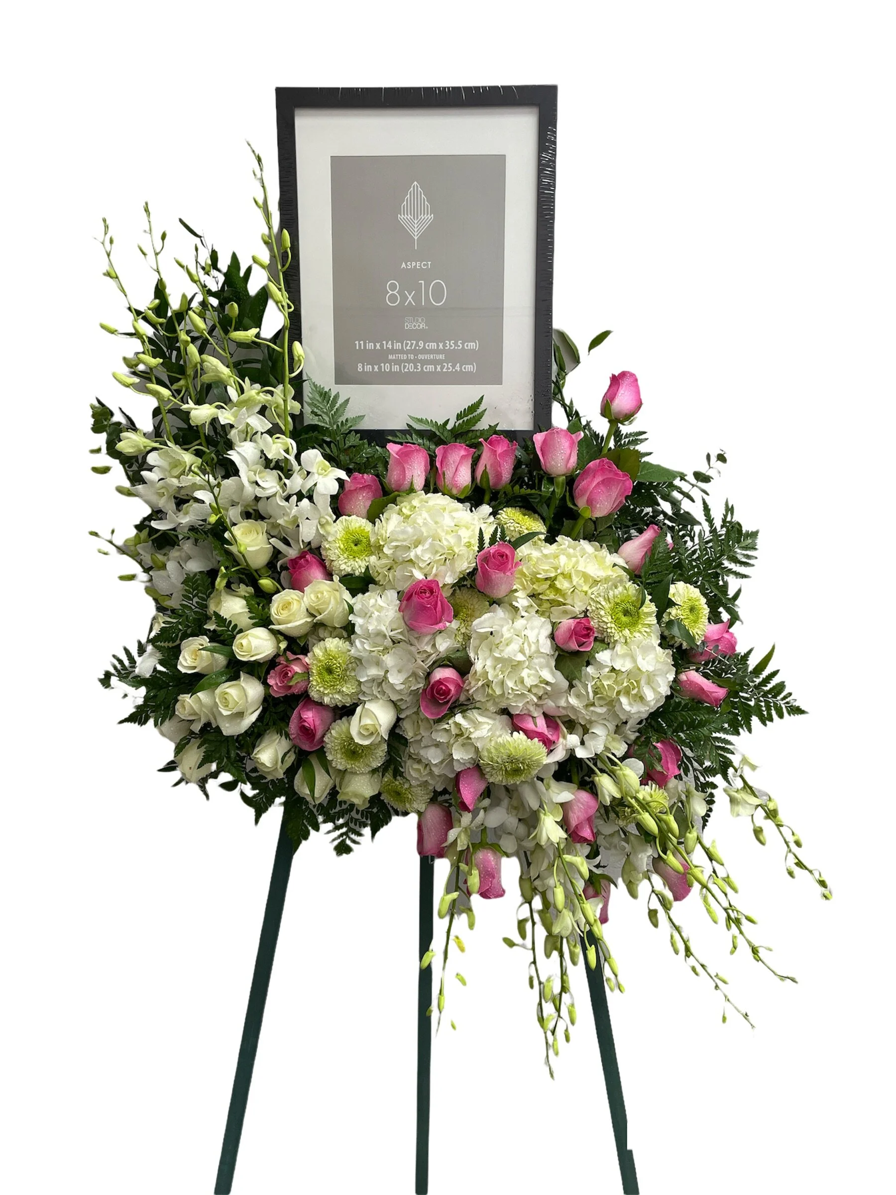 B5AA9B37-4938-400F-A6C4-838EF95742B6