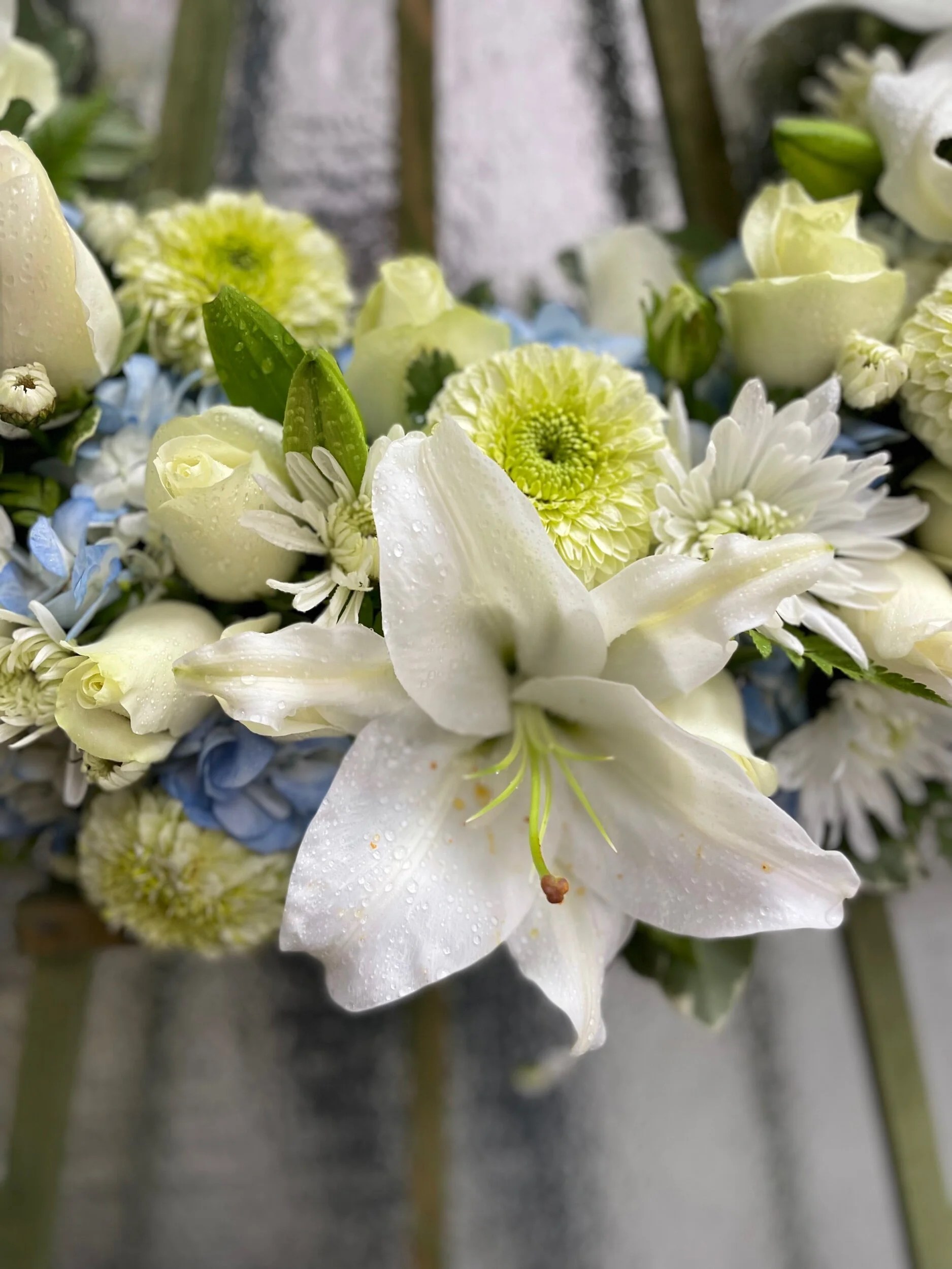 D1AD3A83-ECC0-4EB3-952D-2778FE3BFB0A