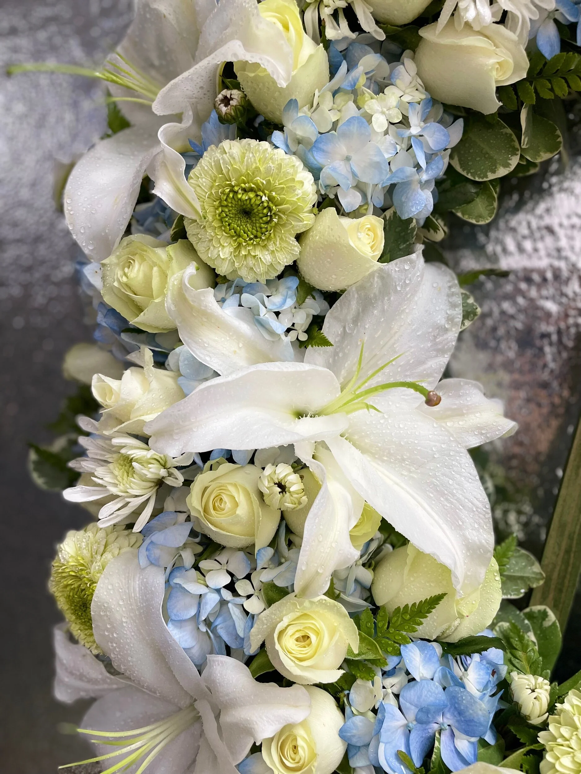 1F40650B-F6CE-4948-8069-DE0E0BEB6C4D