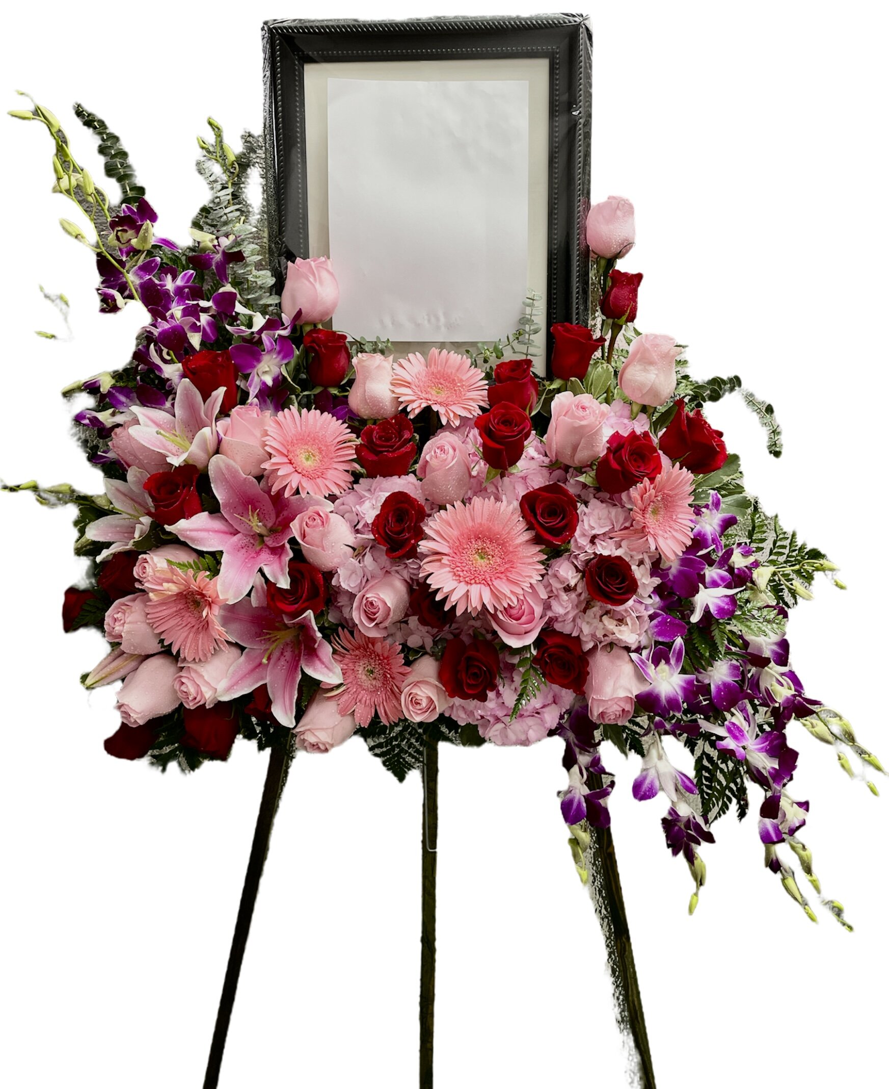 B996F8A7-89C2-440B-8A00-471FC63167C6