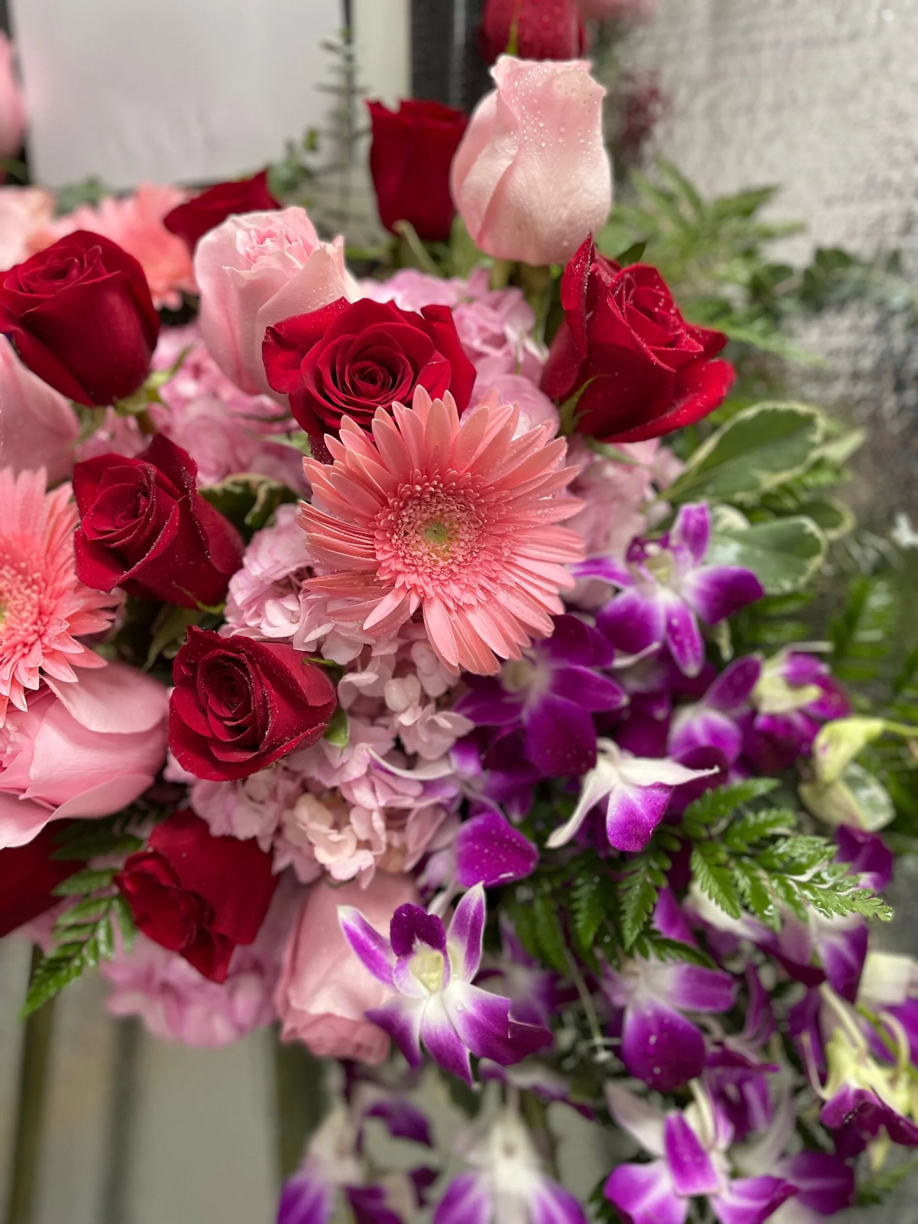 5631A8D6-9E00-4B97-86BB-A1AC858FCF03