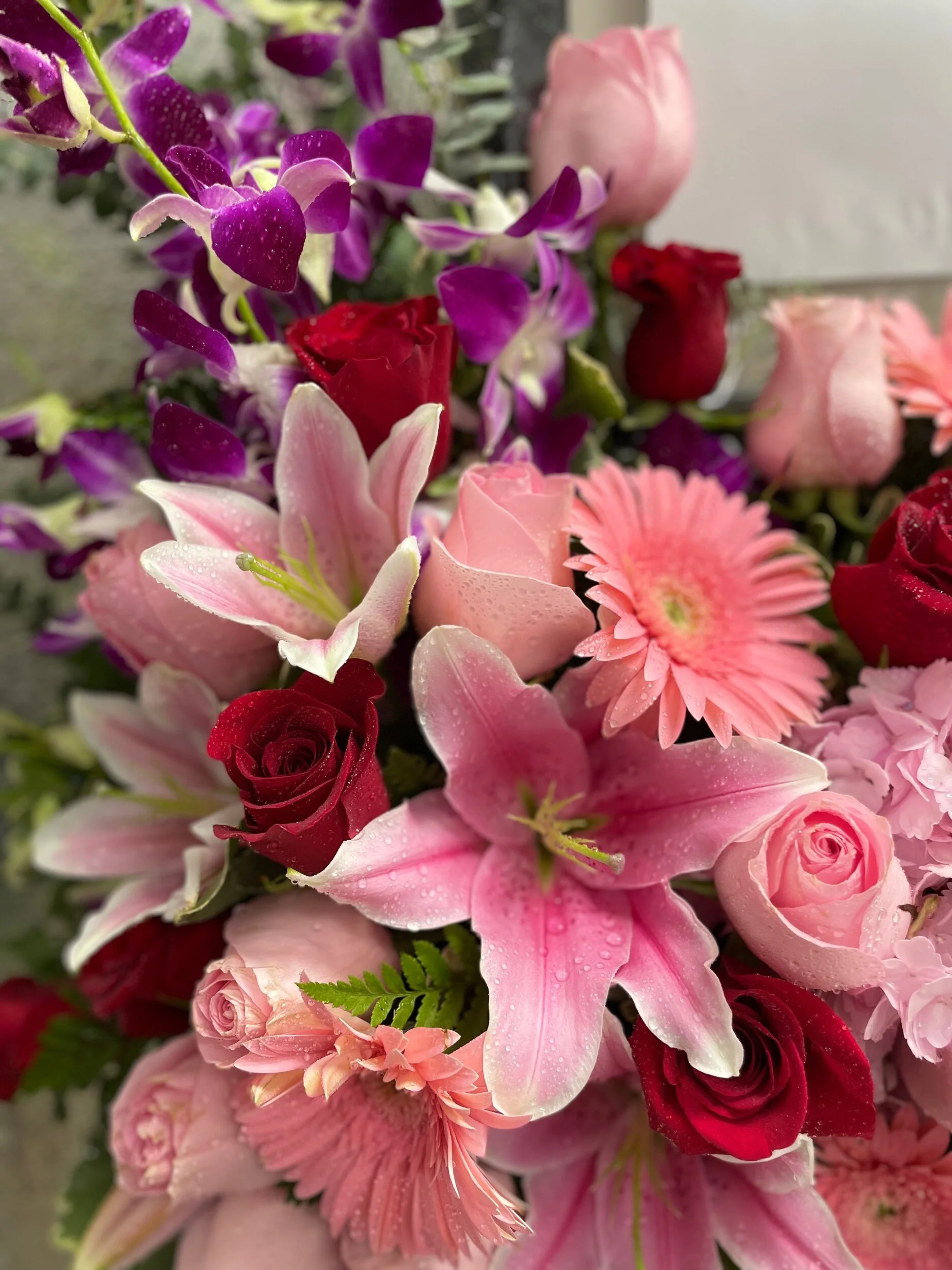 507A2D48-8DE2-457D-8CA5-EFDE61822DE3