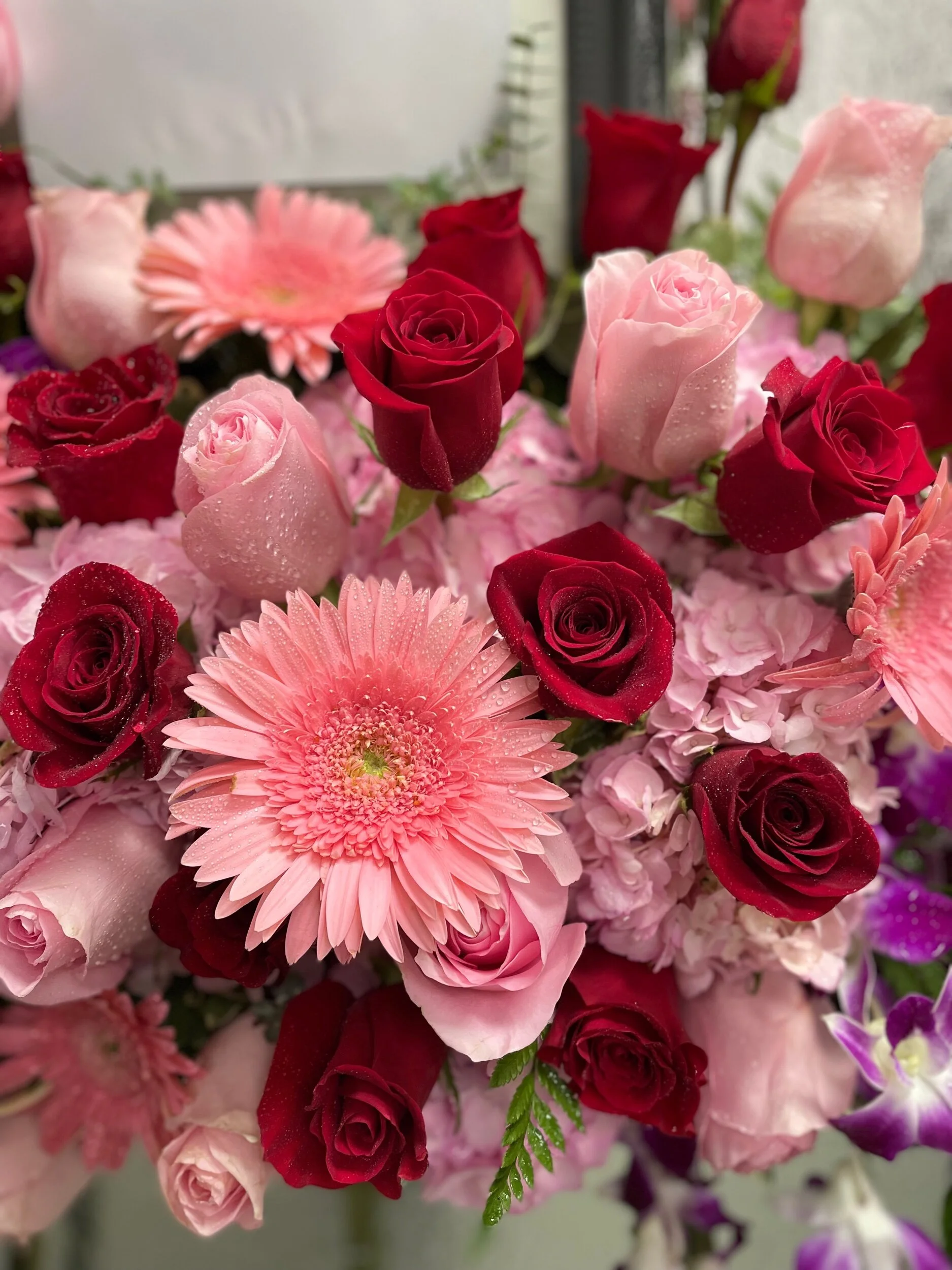 DC6E65B8-408D-45AC-8C56-B3F4A5ADDA46