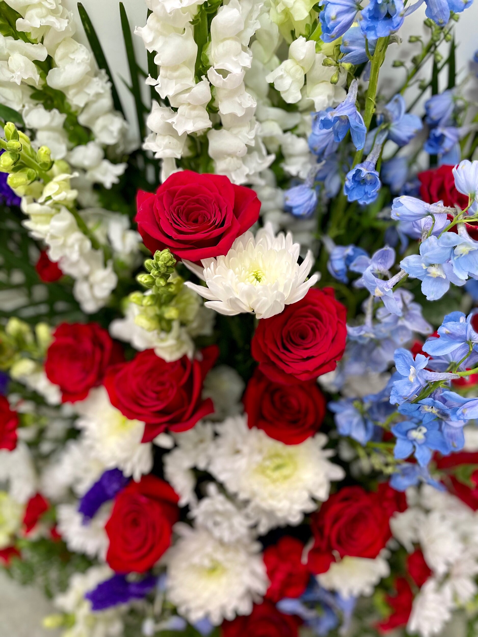 3337EE46-216A-41F4-9E44-EBEED1937BAB