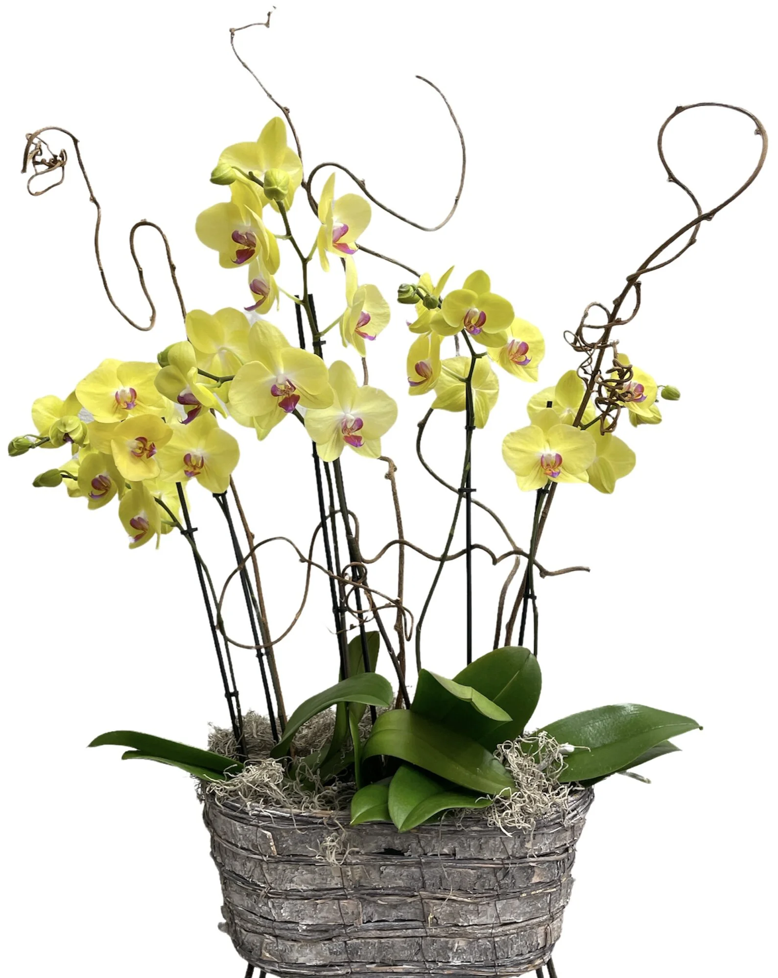 F07FCBE3-95A0-4FDD-94FD-5F0C367E7470