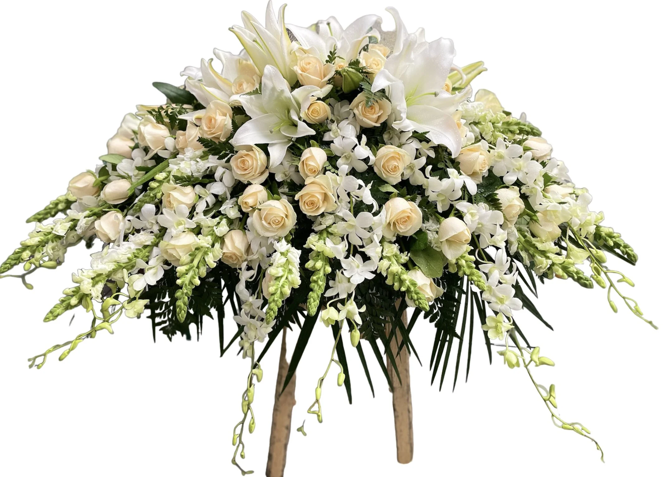 82CA8065-25E6-4E10-8E75-A229730E4ADB