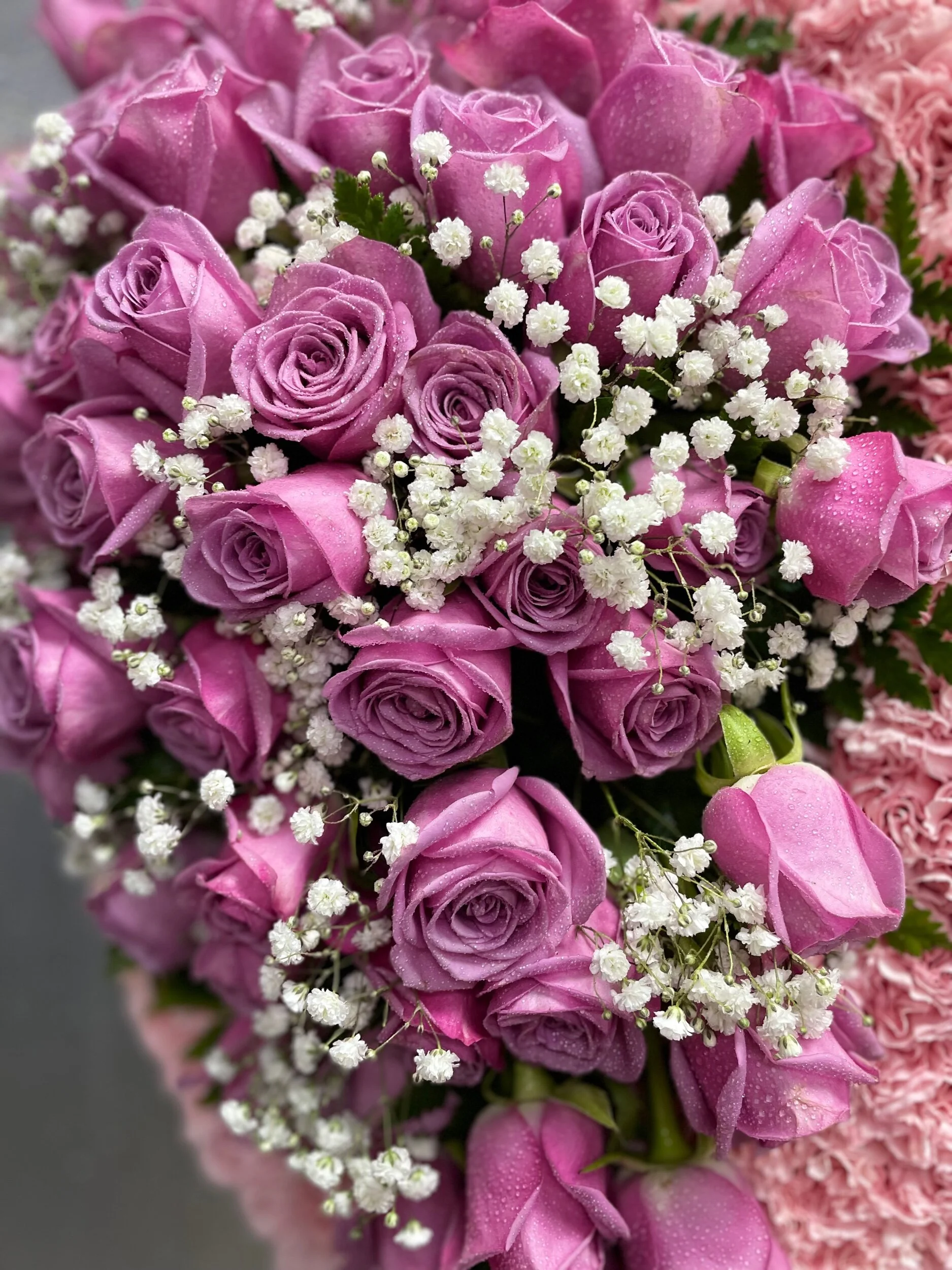 54686D12-6BB9-4726-86A0-E0F59D0AEC12