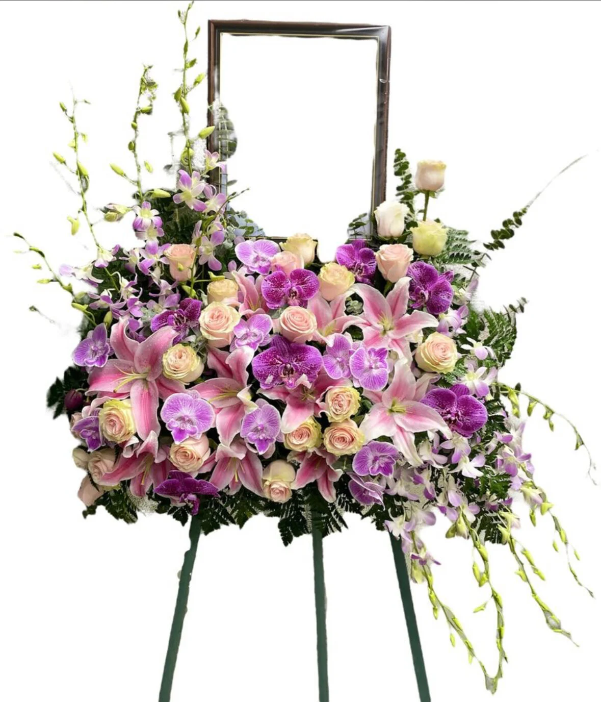 A8AEA4B2-94E6-4573-A7F2-82CEE886C6D6