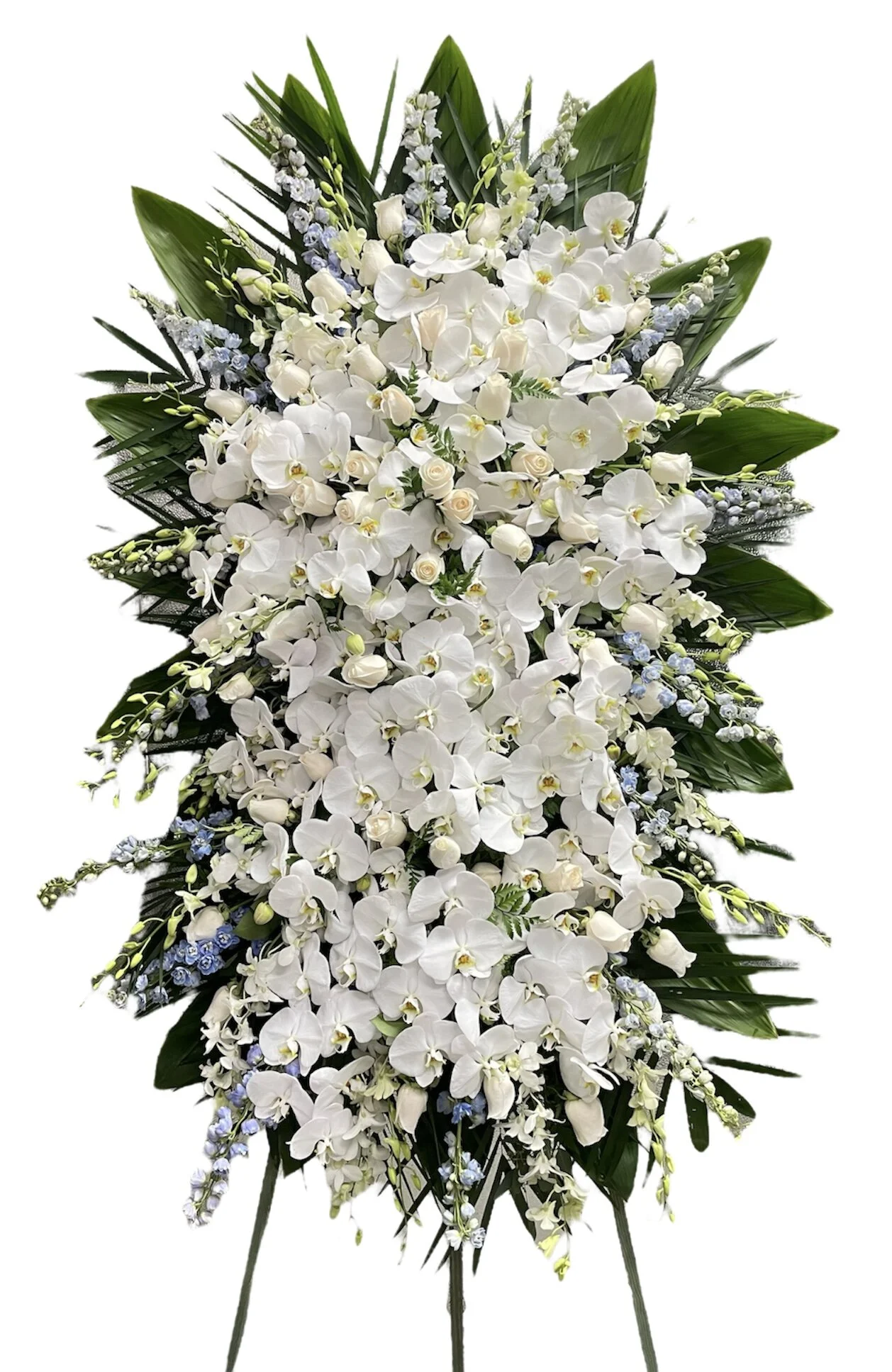 2B21C1F6-FC55-4029-A647-41C3A1281451