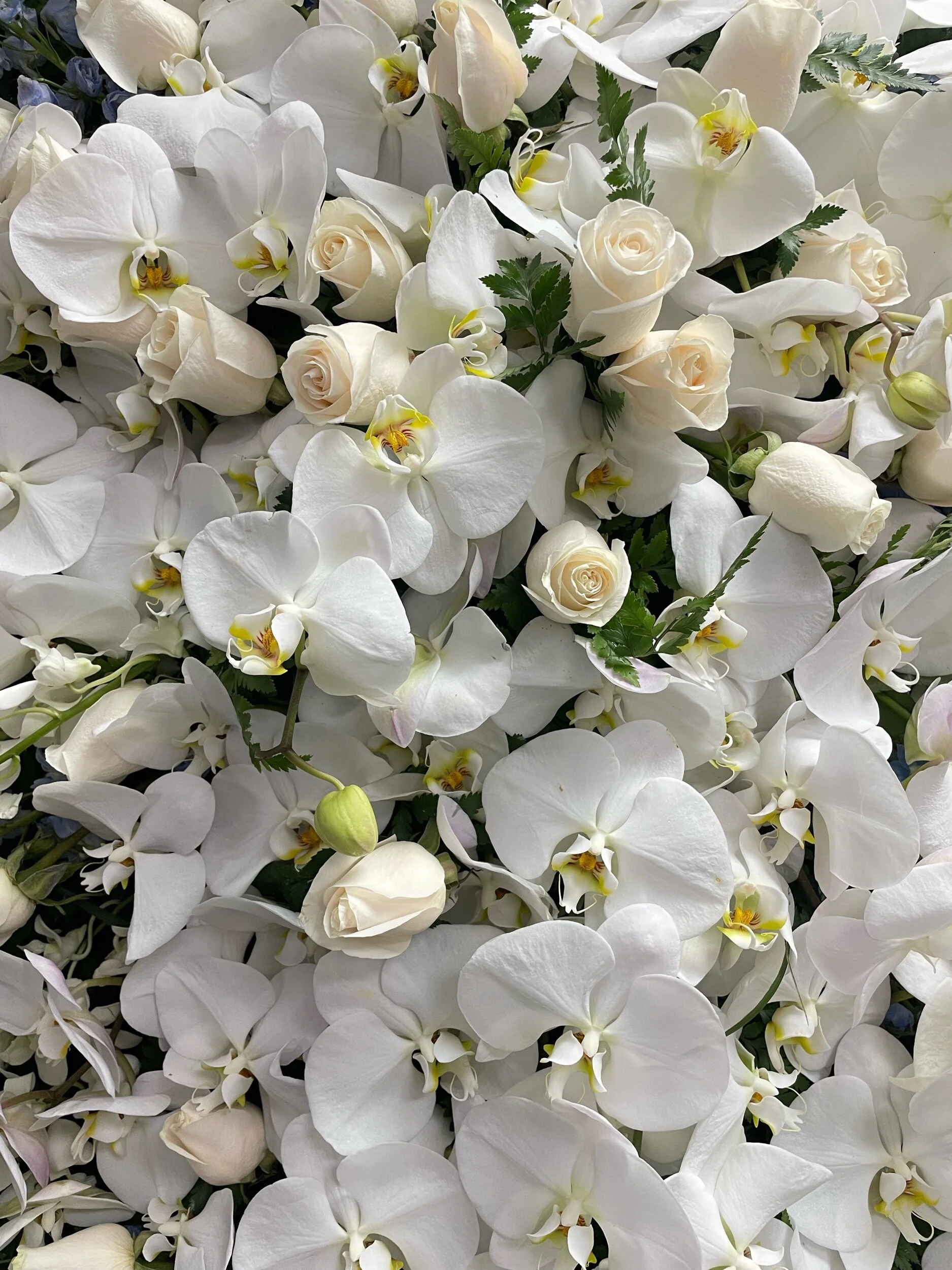 F0DDA147-9489-48FA-92BB-C7C95C1AAE78